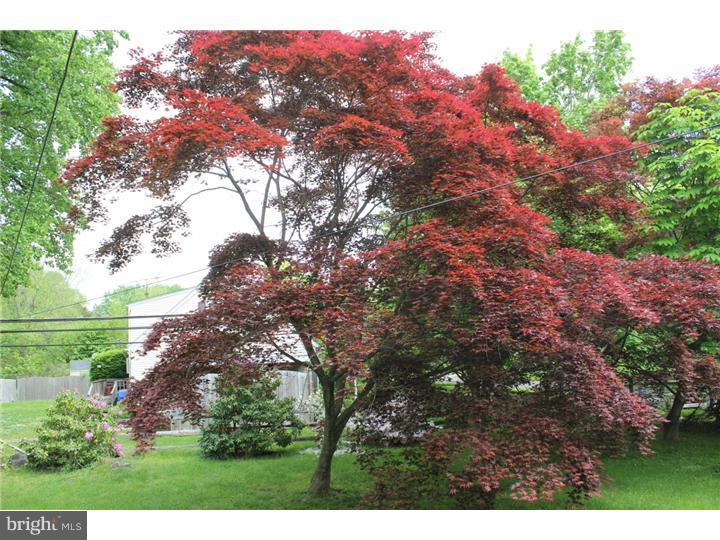 1804 Makefield Road Yardley, PA 19067 - Photo 16 of 23 View in Back