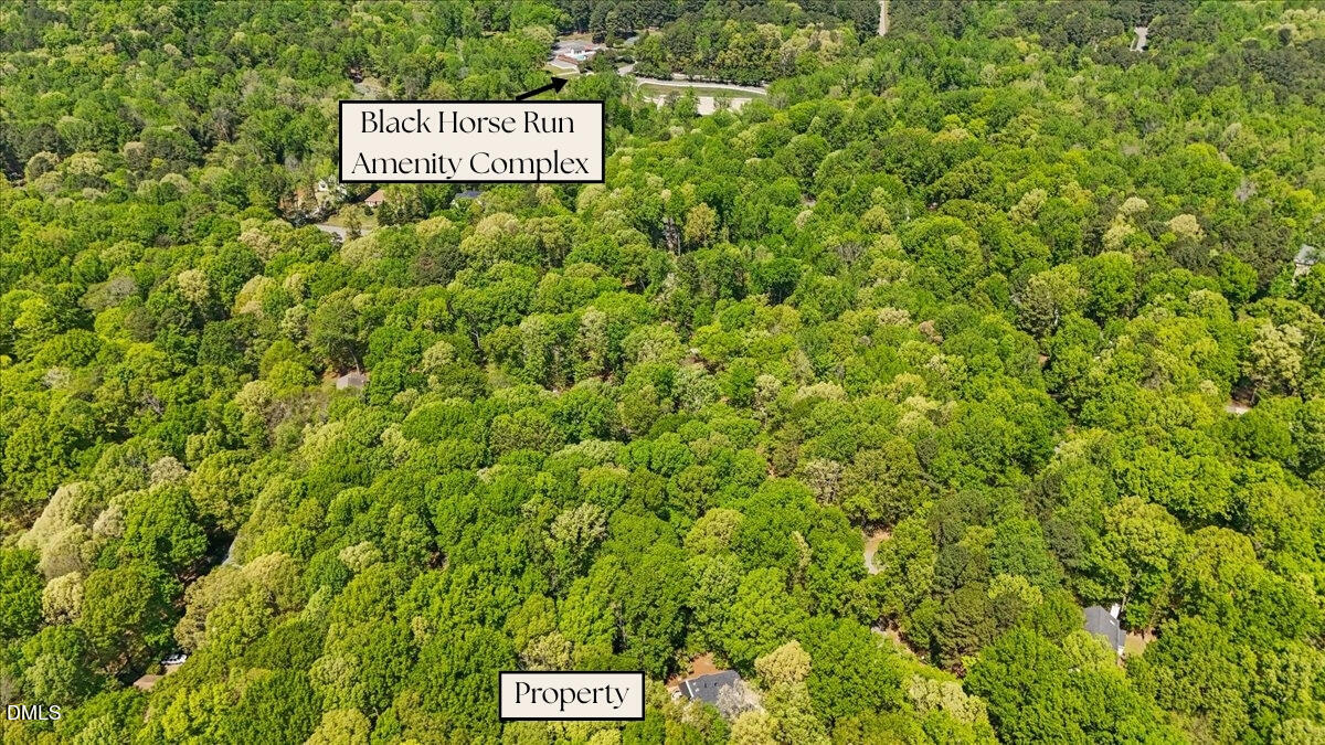 11401 Old Creedmoor Road Raleigh, NC 27613 - Photo 59 of 68 Property
