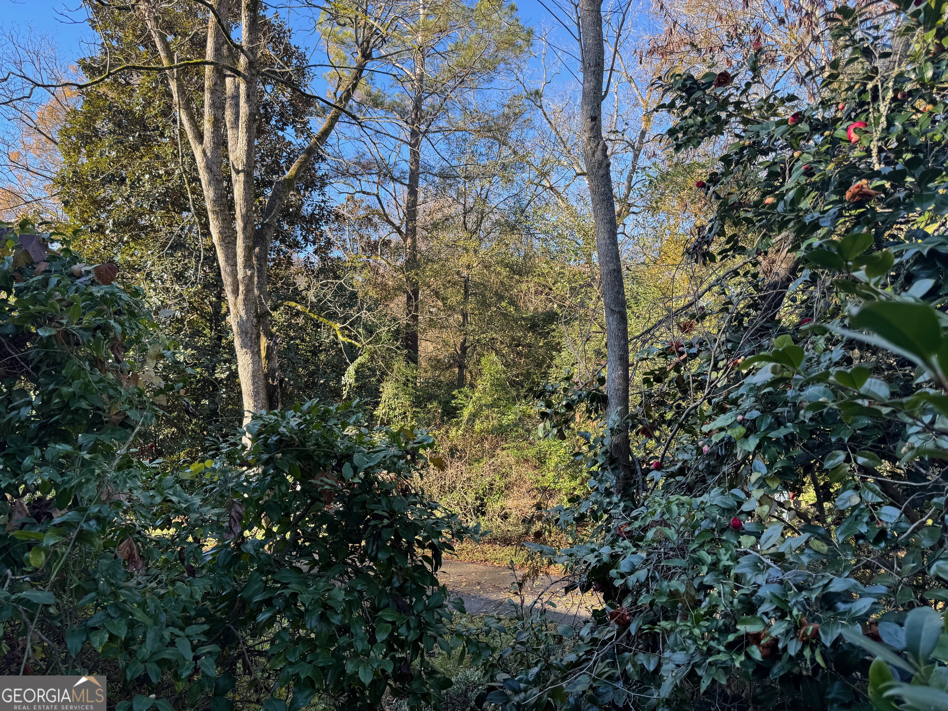 308 Springdale Park Washington, GA 30673 - Photo 10 of 62