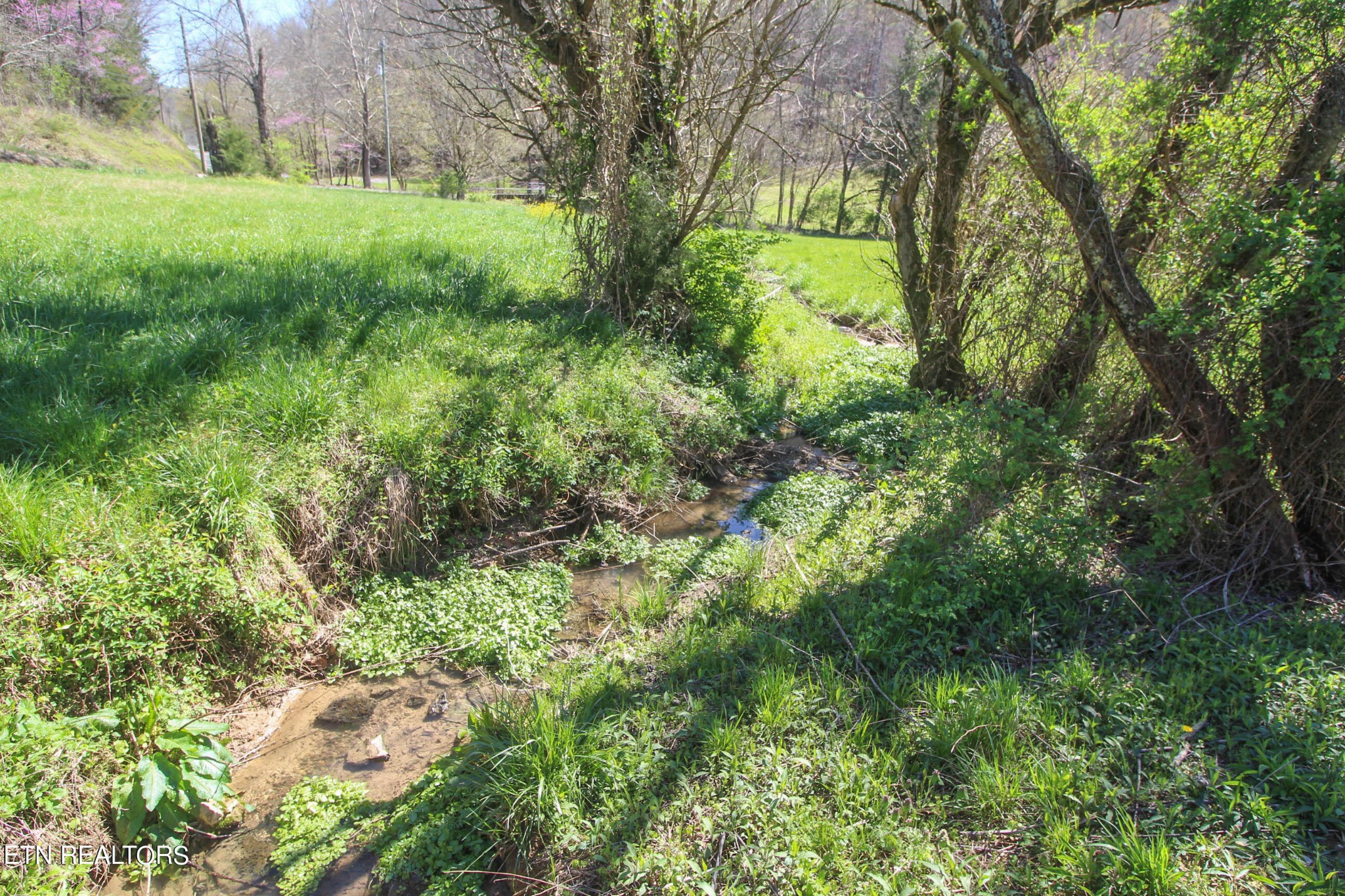 0 Fall Creek Road Maynardville, TN 37807 - Photo 16 of 21 Gallery Image 16