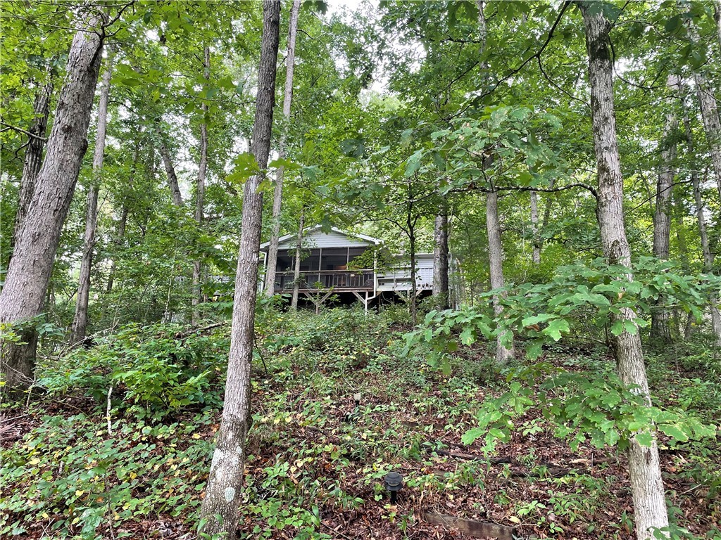 469 Shelor Ferry Road Fair Play, SC 29643 - Photo 4 of 18 Back of House