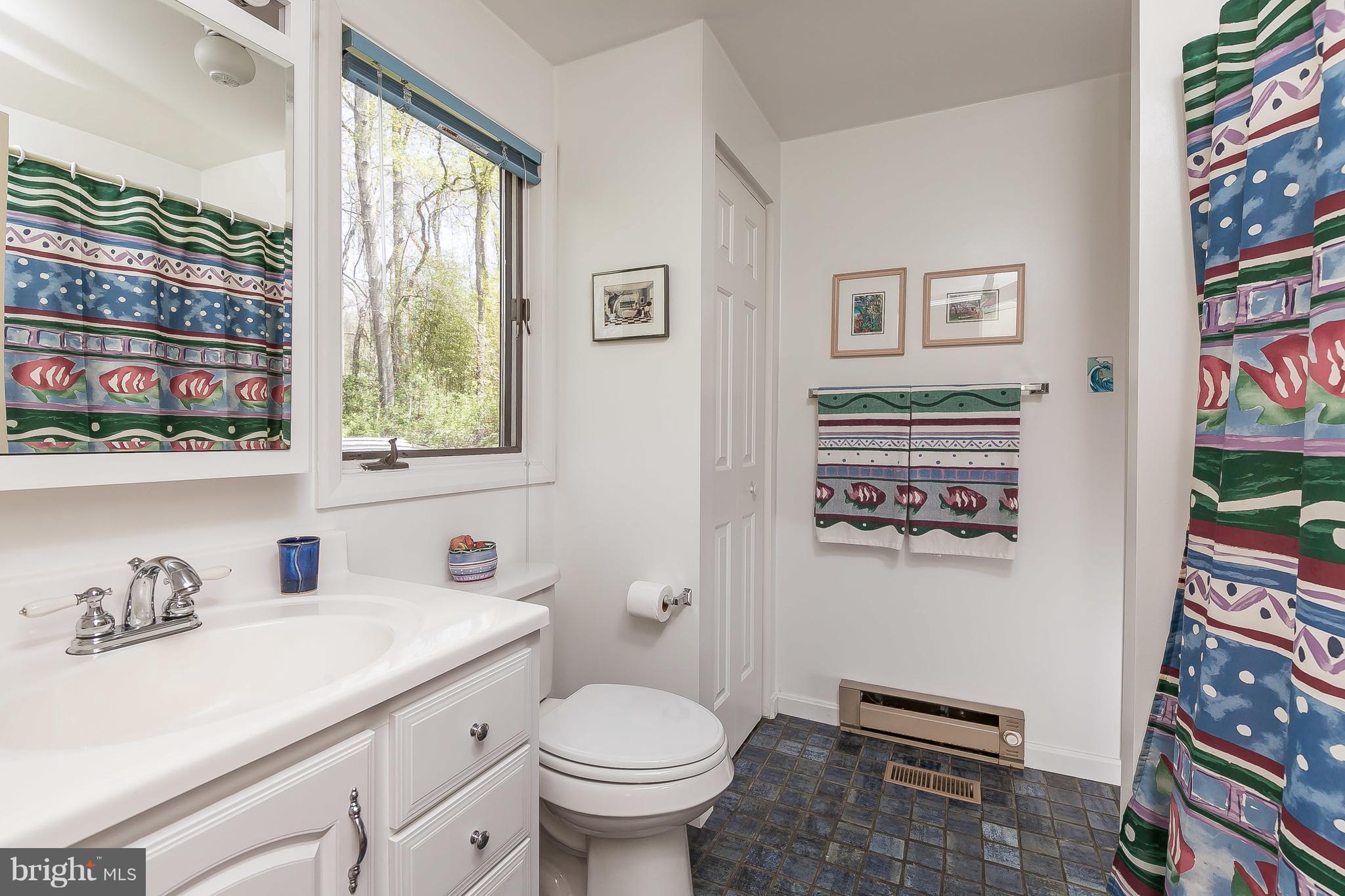 1801 Blue Mt Road Monkton, MD 21111 - Photo 13 of 30 a bathroom with a granite countertop sink and a toilet