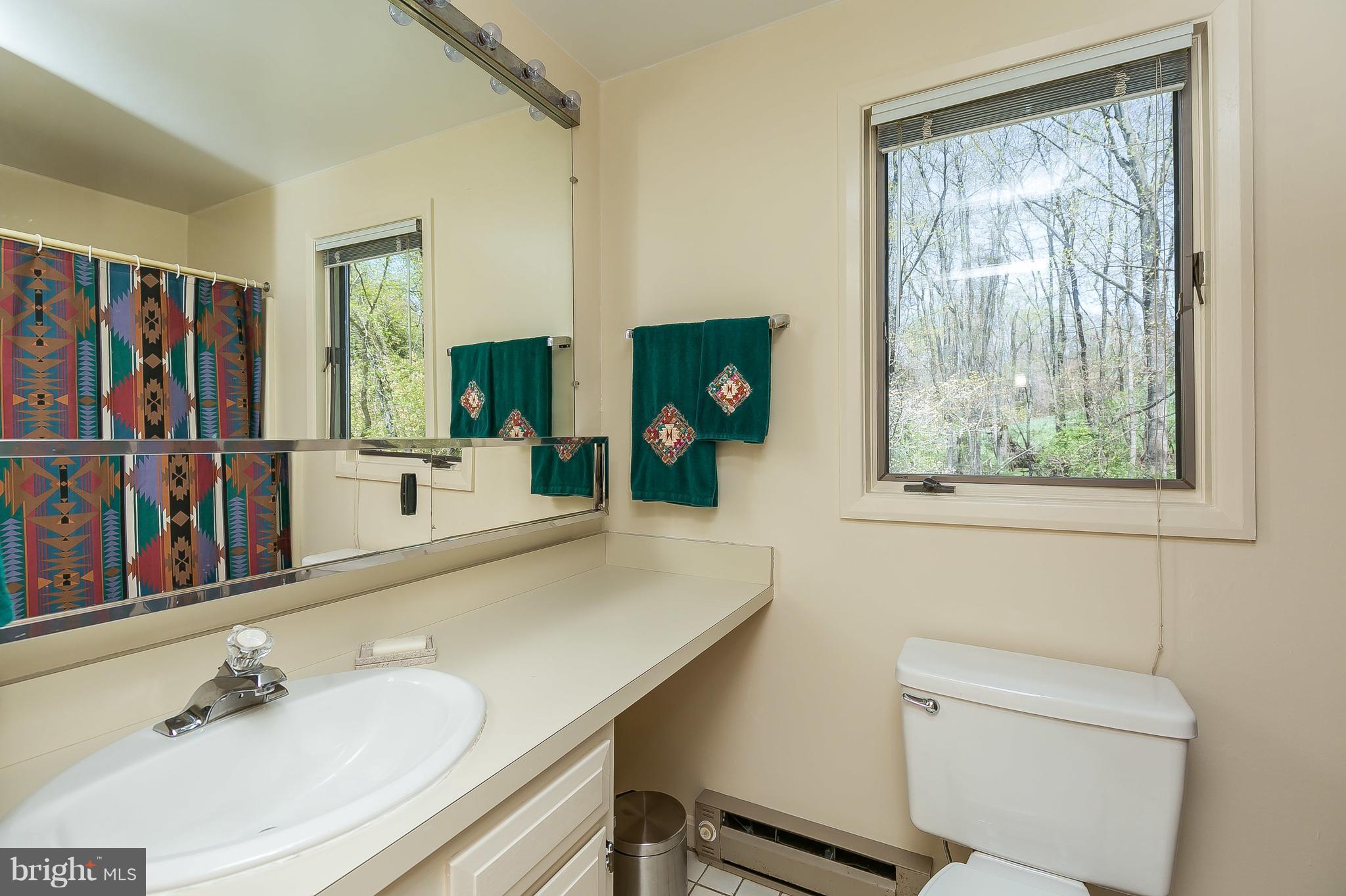 1801 Blue Mt Road Monkton, MD 21111 - Photo 18 of 30 a bathroom with a sink a toilet and a mirror