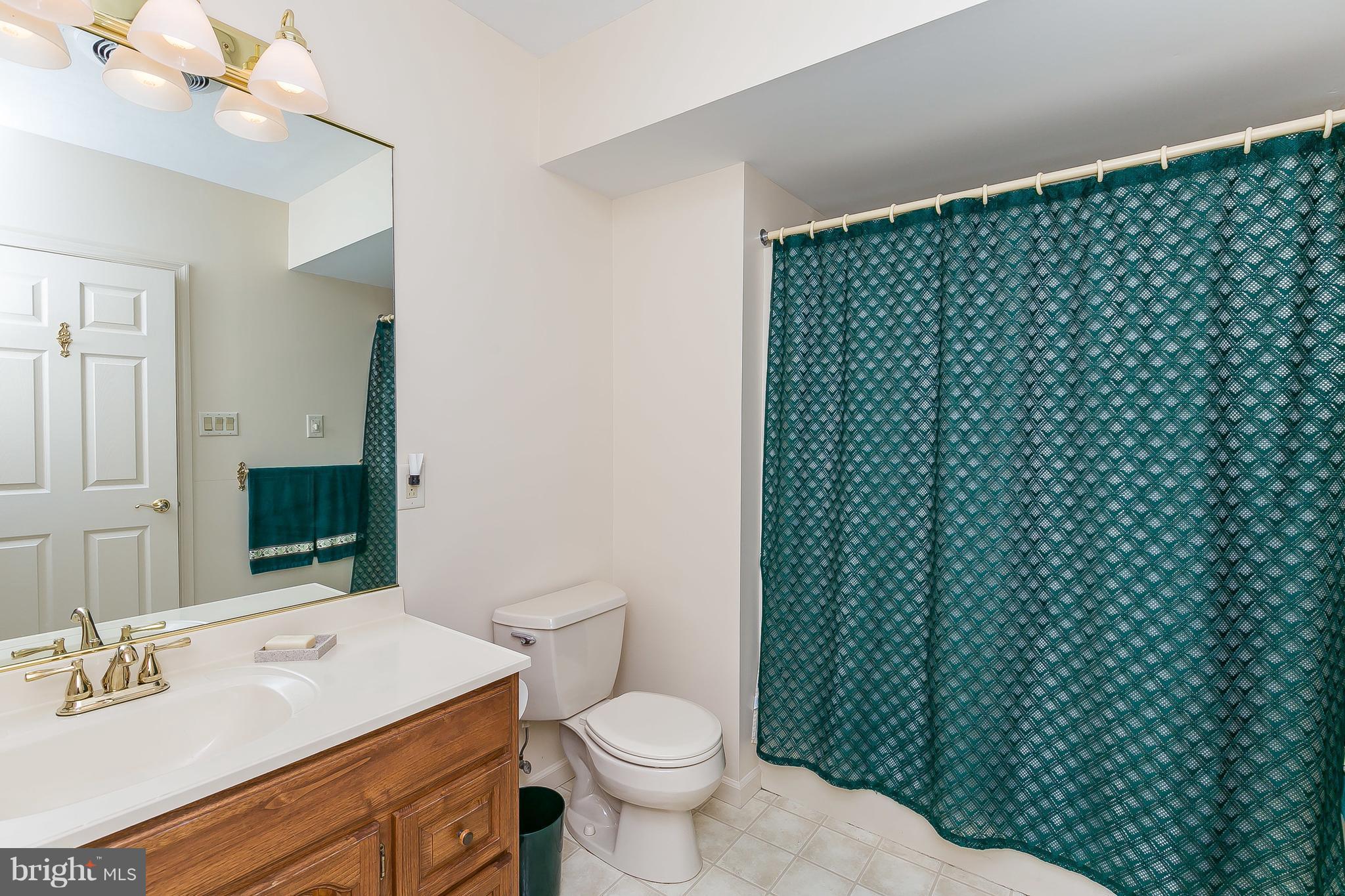 1801 Blue Mt Road Monkton, MD 21111 - Photo 22 of 30 a bathroom with a sink a toilet and mirror