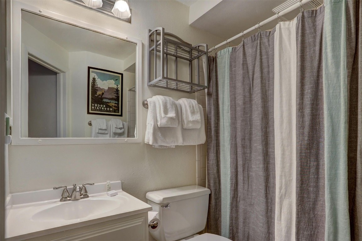 965 4 O Clock Road Breckenridge, CO 80424 - Photo 25 of 32 a bathroom with a sink a toilet and shower curtain