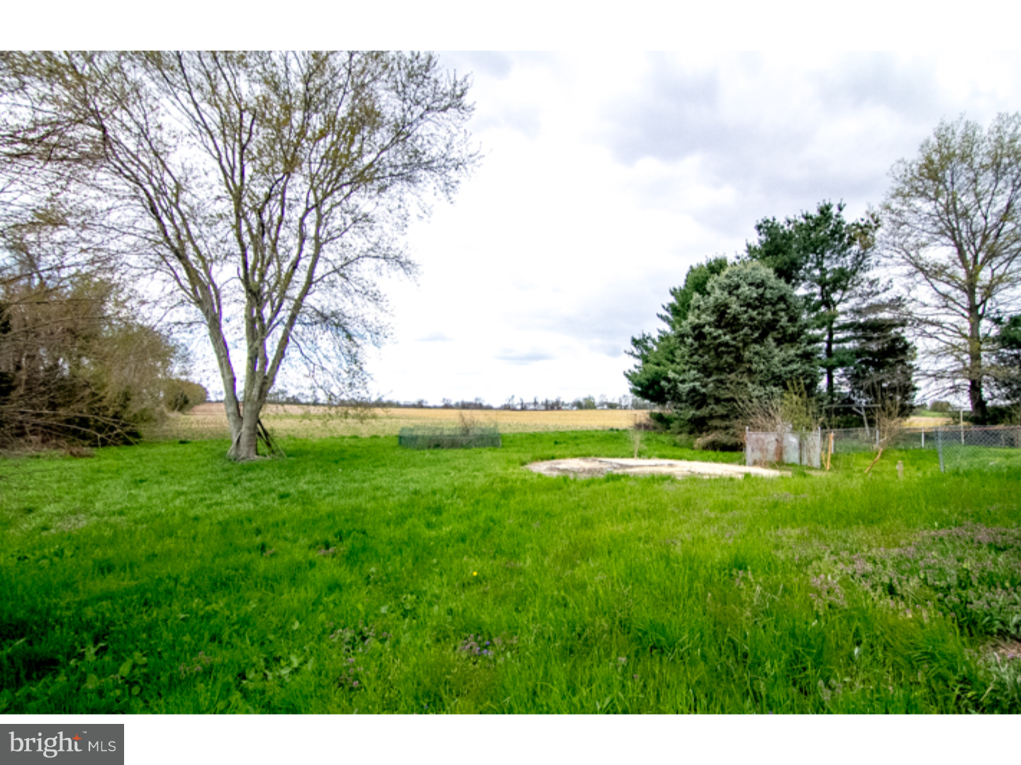 586 Haines Neck Road Mannington, NJ 08098 - Photo 11 of 13