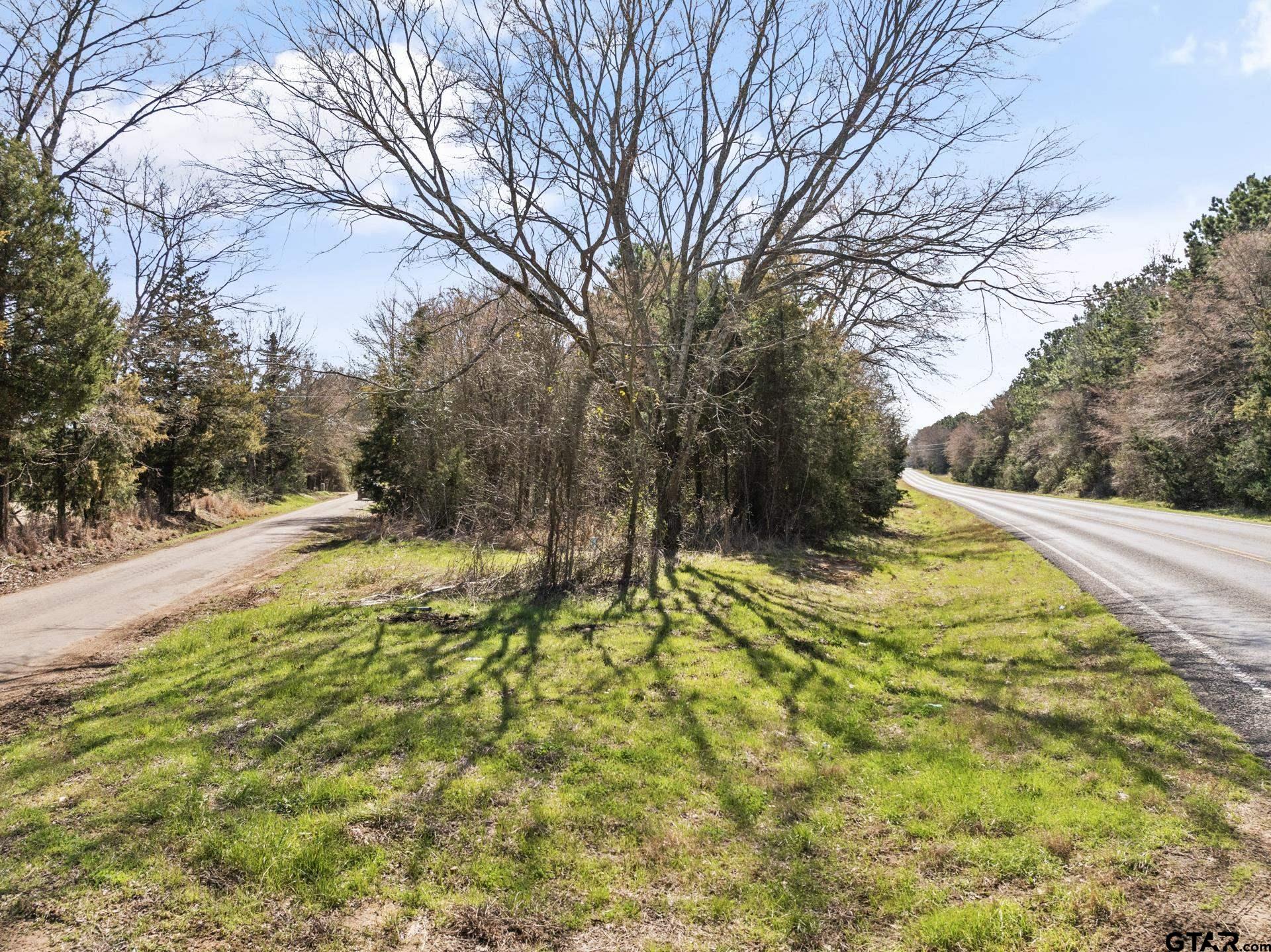Lot 6 Fm 556 Pittsburg, TX 75686 - Photo 2 of 12 a view of backyard with tree