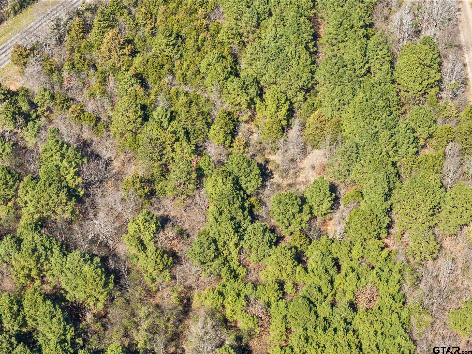 Lot 6 Fm 556 Pittsburg, TX 75686 - Photo 6 of 12