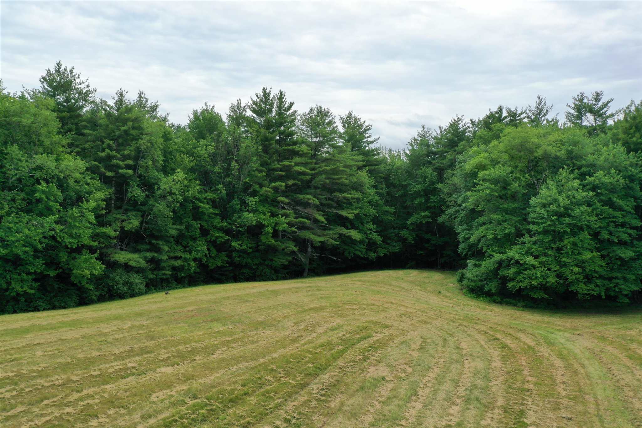 1 Dow Road Mont Vernon, NH 03057 - Photo 6 of 12 Gallery Image 6