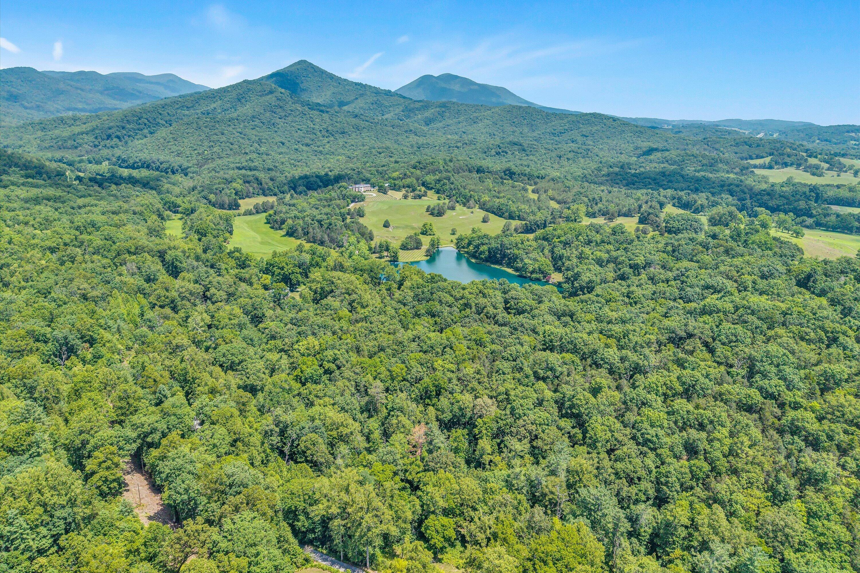 1066 Greyledge Road Buchanan, VA 24066 - Photo 119 of 122 119-DJI_20260701122430_0070