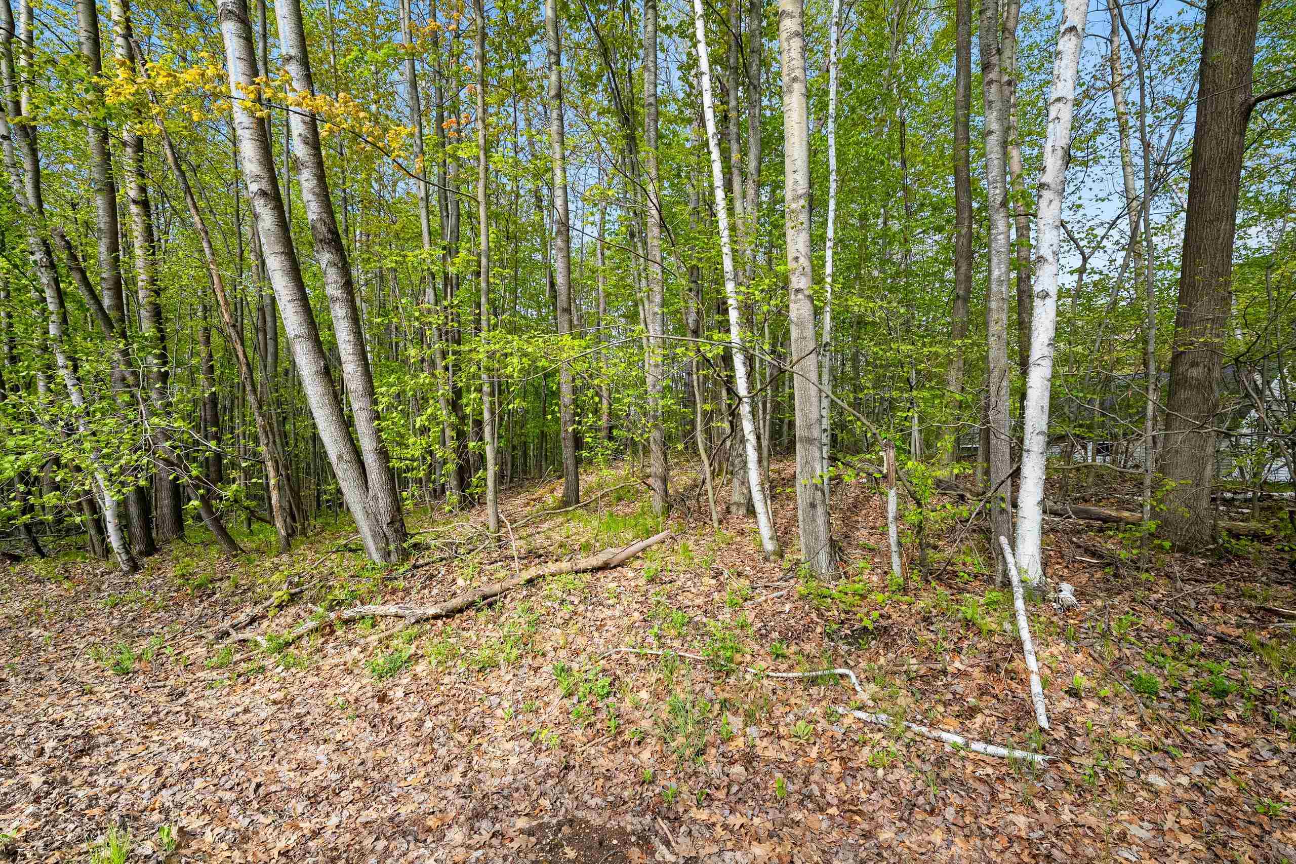 Birchwood Lane, Unit 3 Suring, WI 54174 - Photo 19 of 20
