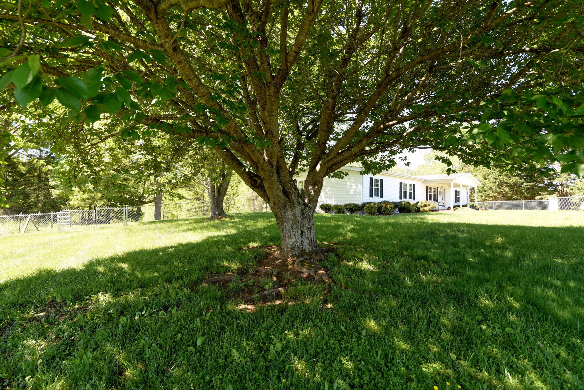 1667 Arthur Road Bedford, VA 24523 - Photo 3 of 72 33-web-or-mls-1667 Arthur Rd_-33