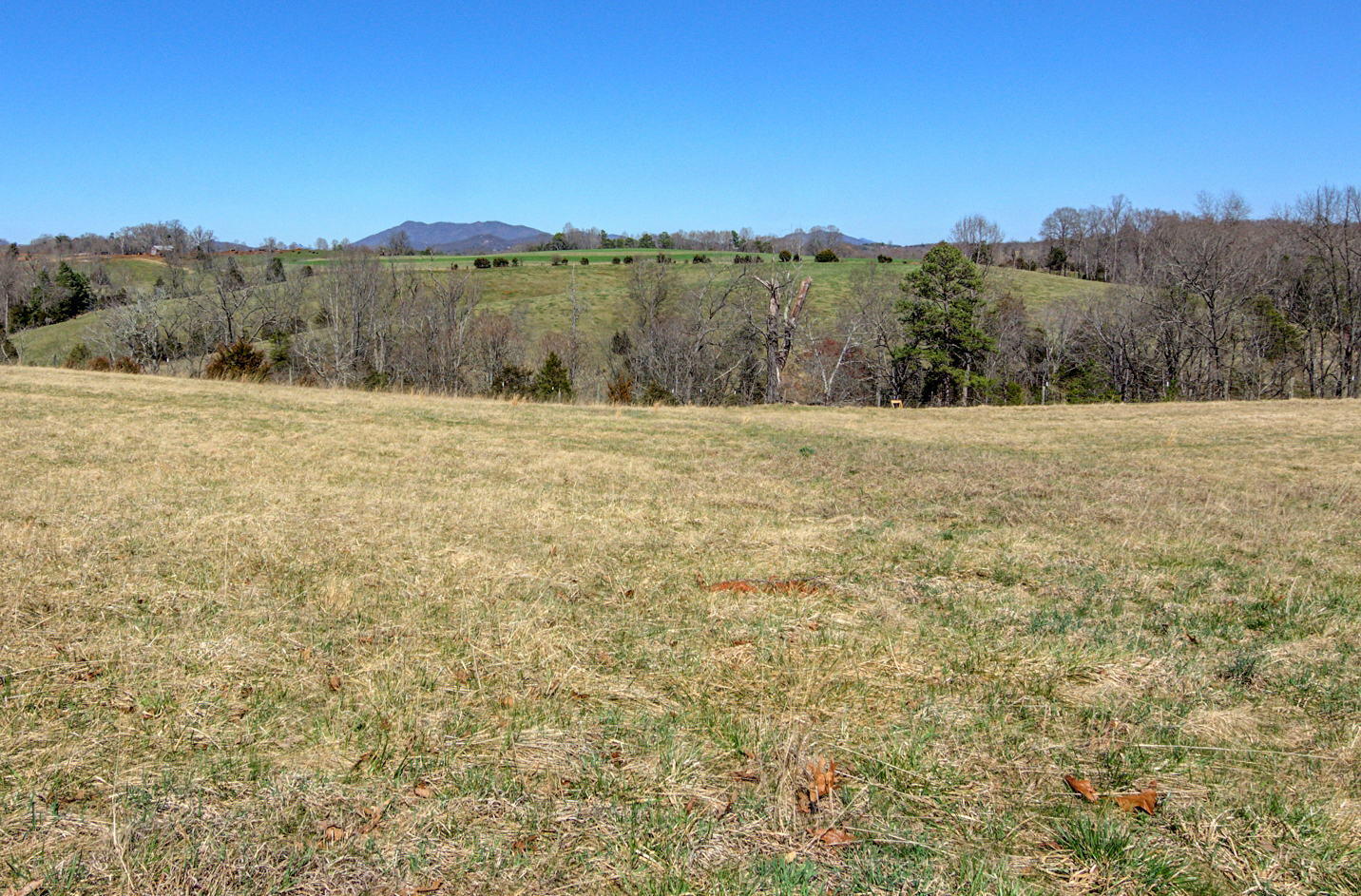 1667 Arthur Road Bedford, VA 24523 - Photo 44 of 72 40-web-or-mls-1667 Arthur_40