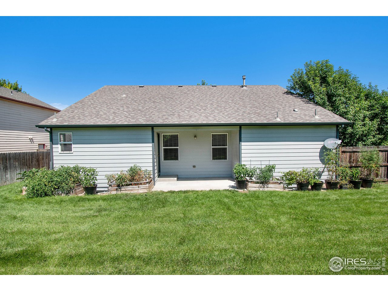 8300 18th St Road Greeley, CO 80634 - Photo 24 of 26 Lush Sprinklered Backyard lawn