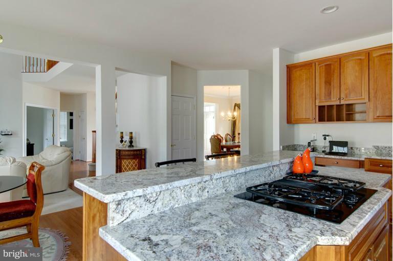 24783 Prairie Grass Drive Stone Ridge, VA 20105 - Photo 23 of 24 Kitchen