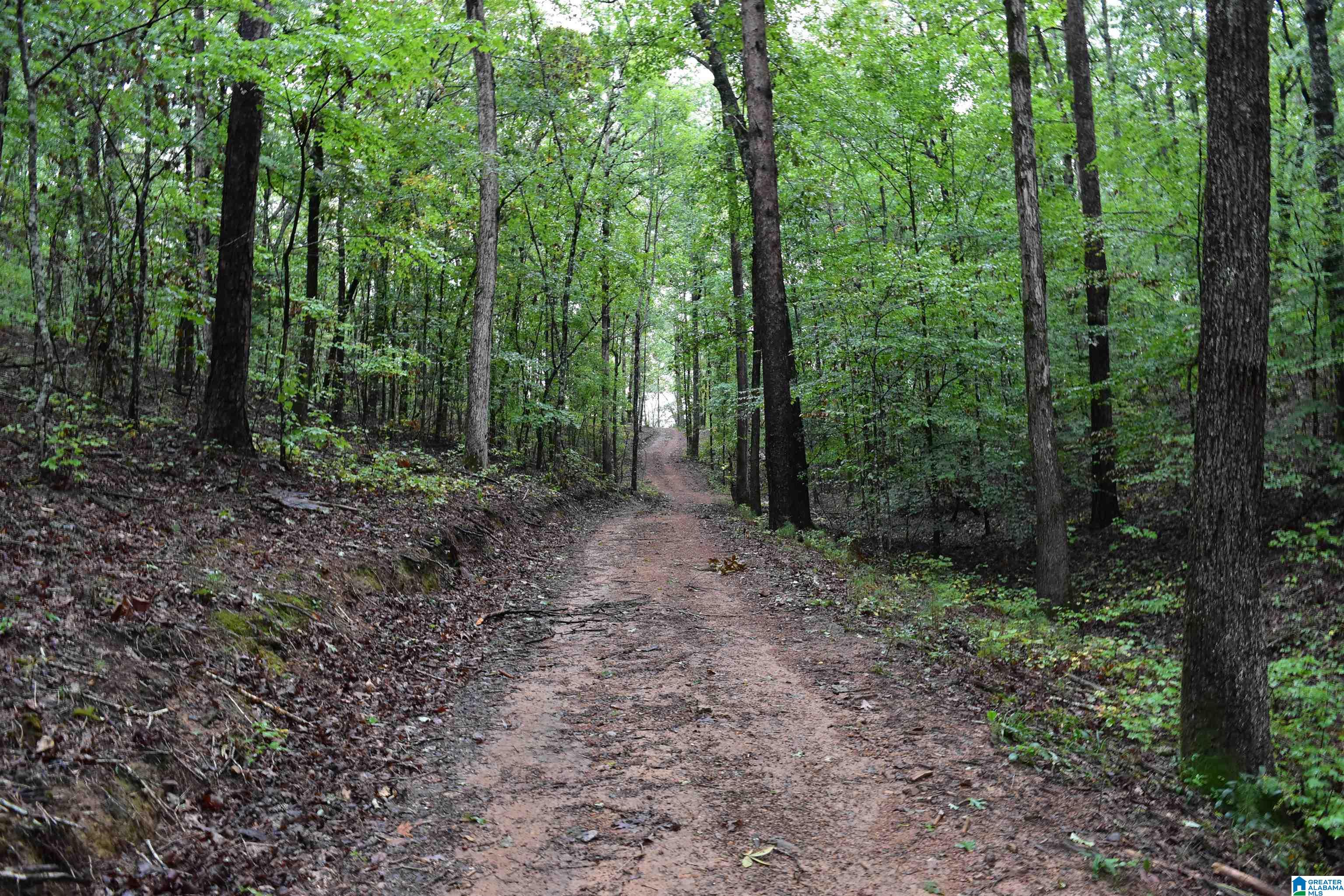 Copper Road Columbiana, AL 35051 - Photo 10 of 56 Gallery Image 10
