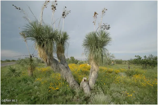 $25,000 | 1 Psl Sunset Ranches, Salt Flat, TX 79847