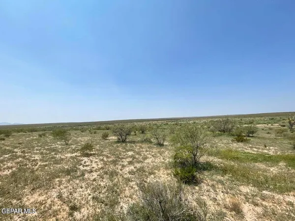 a view of a big yard of the house
