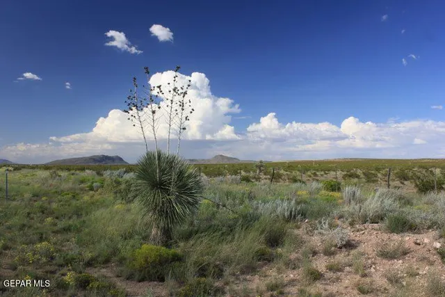 a view of swimming pool from a yard