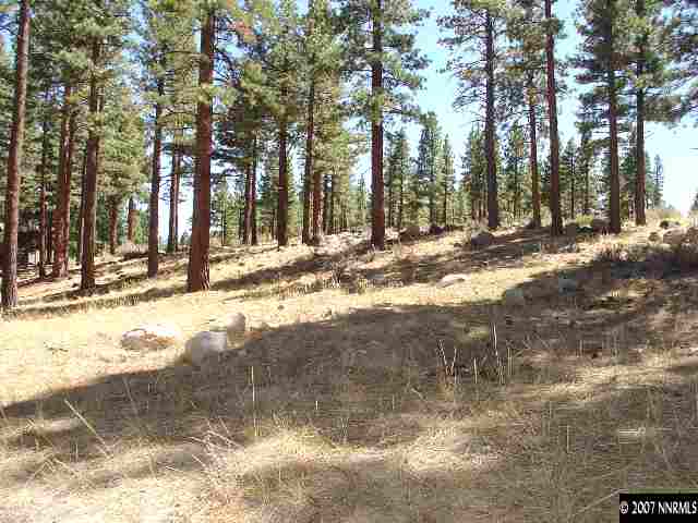 4985 Nadia Court Reno, NV 89511 - Photo 1 of 3 Photo 1