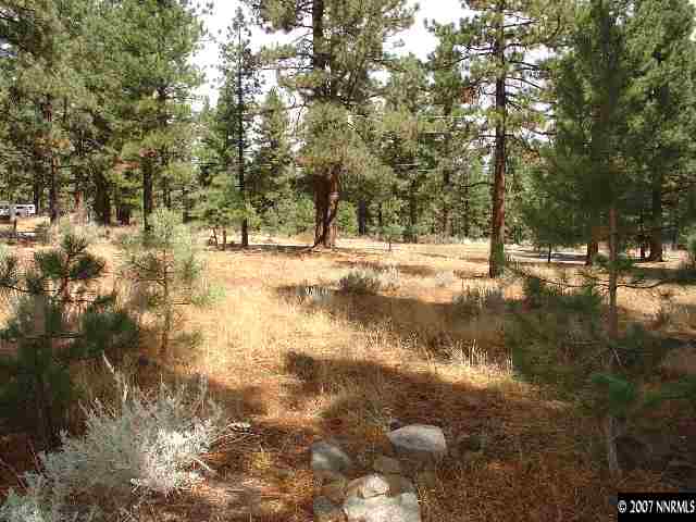 4985 Nadia Court Reno, NV 89511 - Photo 3 of 3 Photo 3