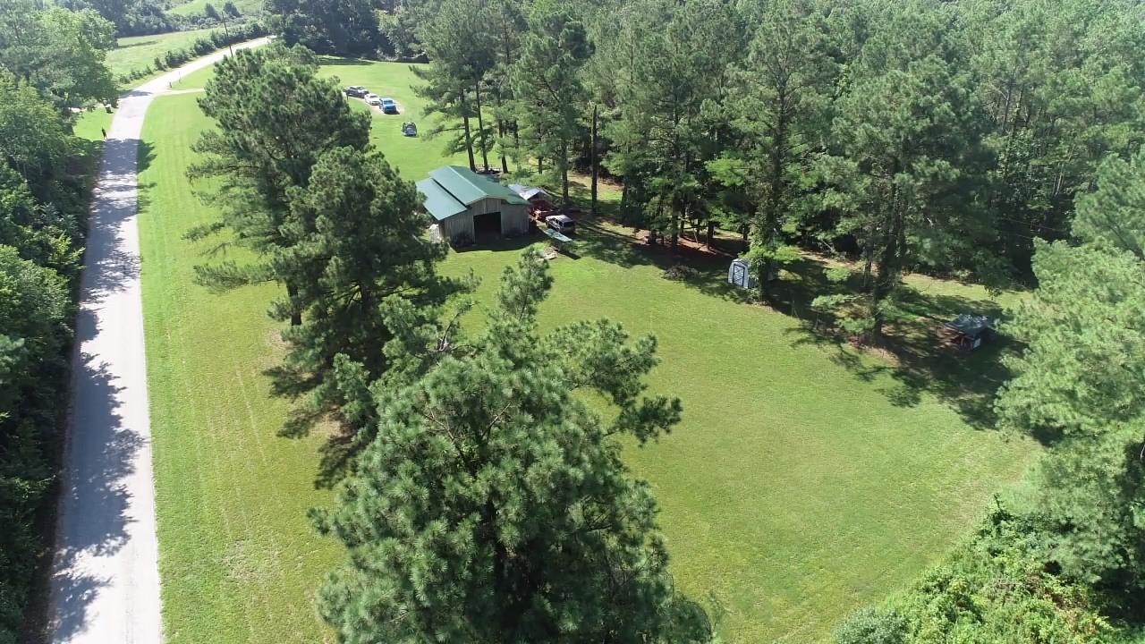 675 Humphrey Road Huntingdon, TN 38344 - Photo 3 of 25 a view of a garden with plants