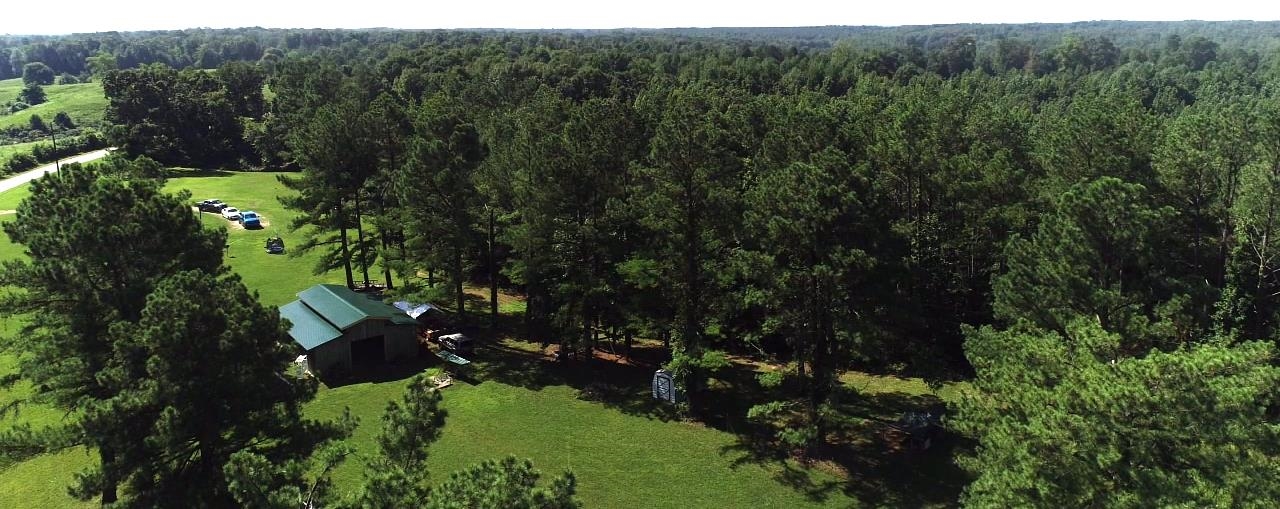 675 Humphrey Road Huntingdon, TN 38344 - Photo 4 of 25 a view of a forest with a tree