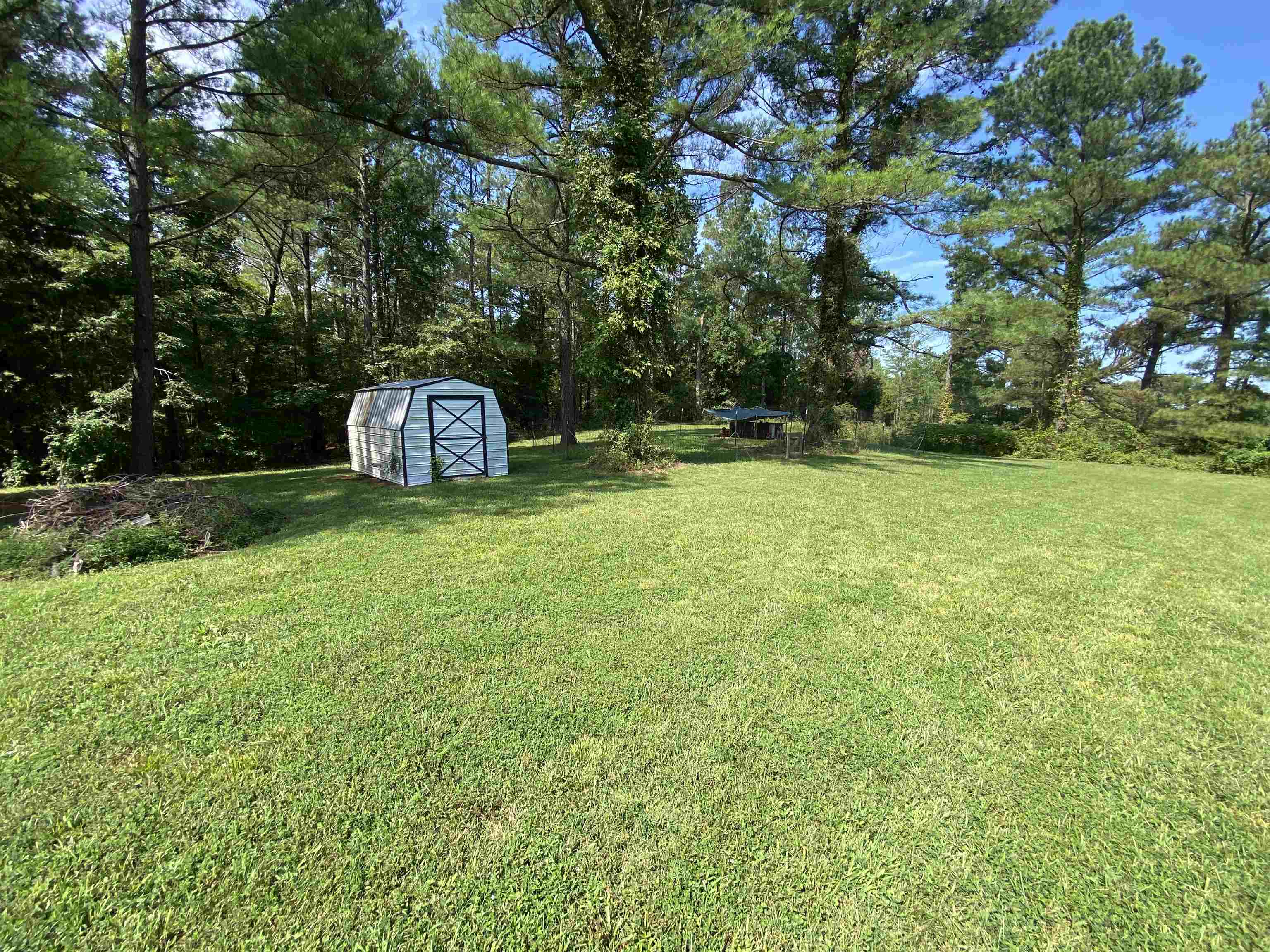 675 Humphrey Road Huntingdon, TN 38344 - Photo 8 of 25 a view of a tree with a big yard