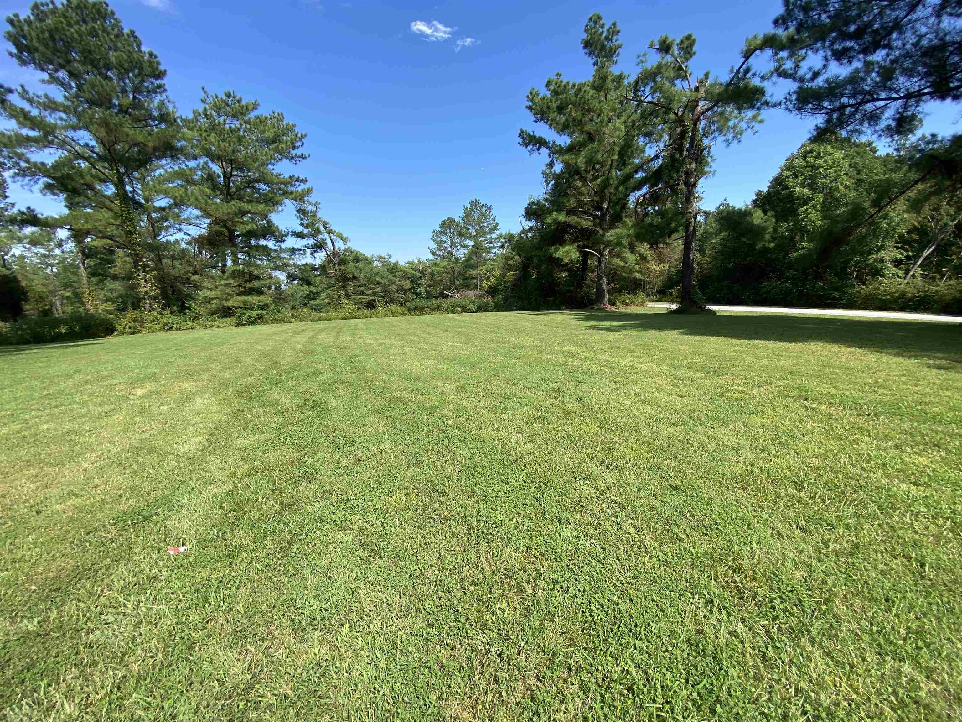 675 Humphrey Road Huntingdon, TN 38344 - Photo 9 of 25 a view of a field with an trees