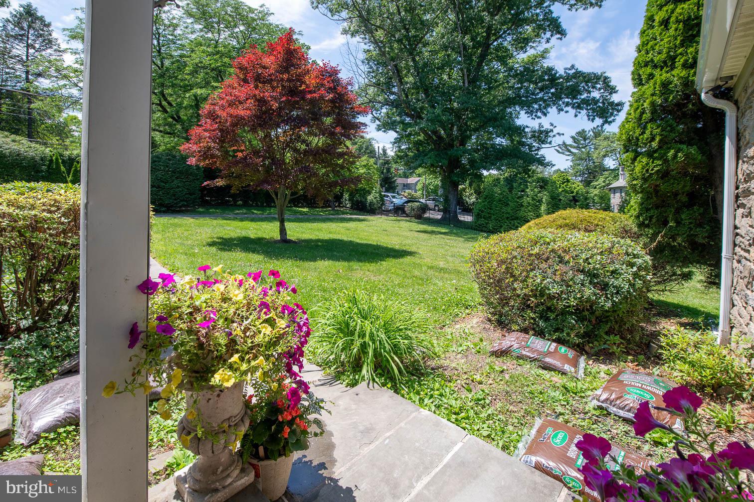 View from Front Door
