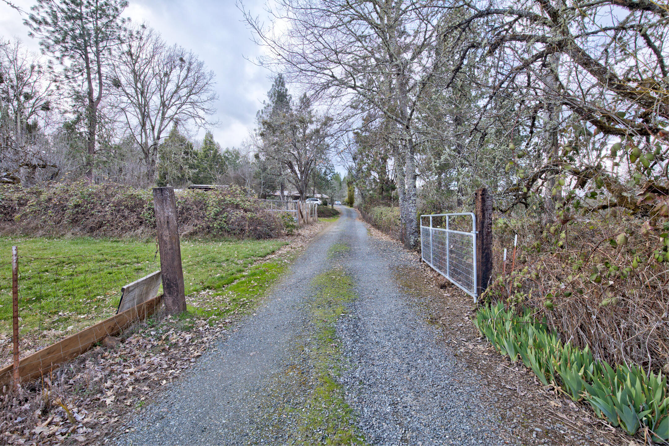 334 Murphy Creek Road Grants Pass, OR 97527 - Photo 51 of 51 murphycr001