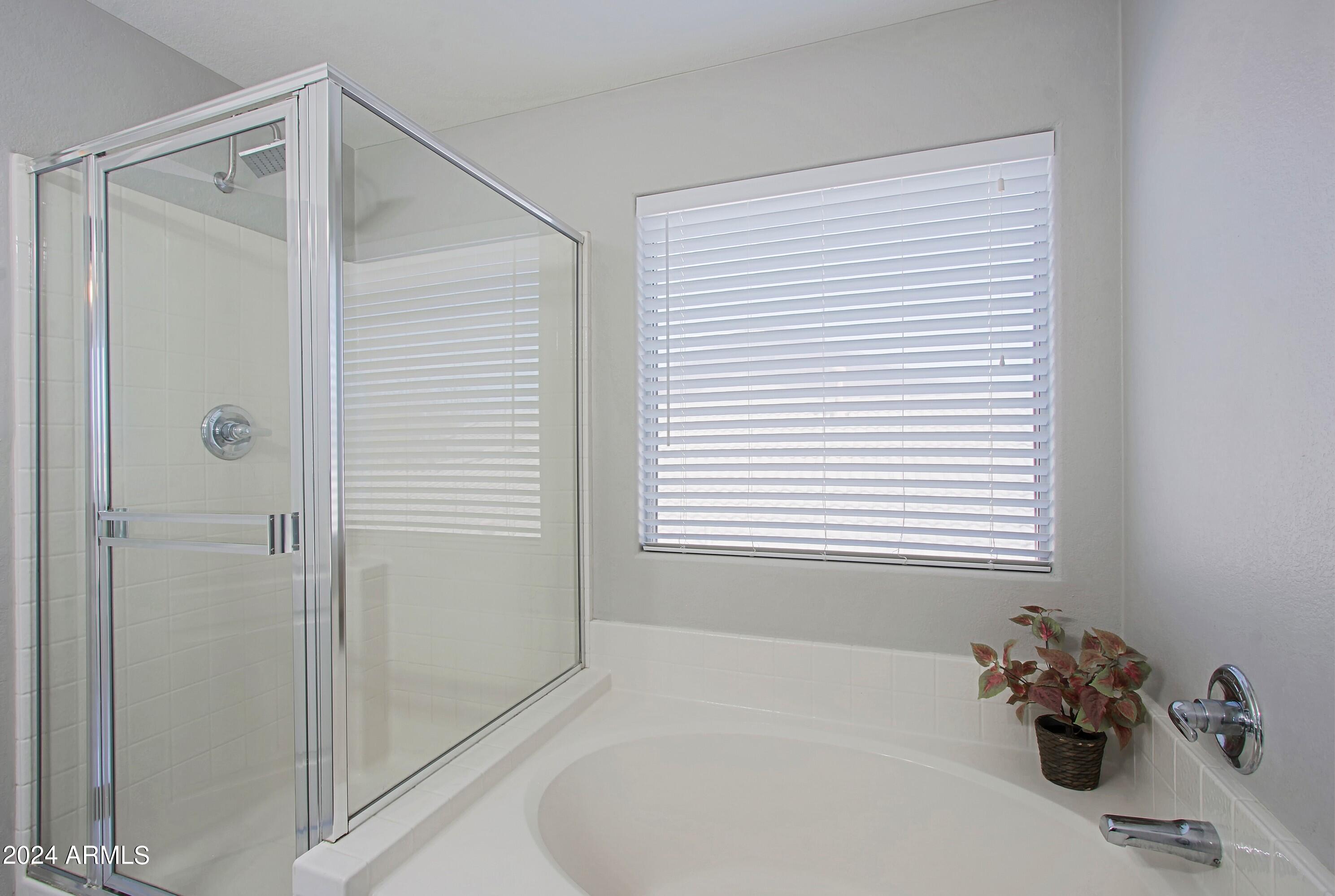 44208 Rhinestone Road Maricopa, AZ 85139 - Photo 38 of 63 Master Bath 3