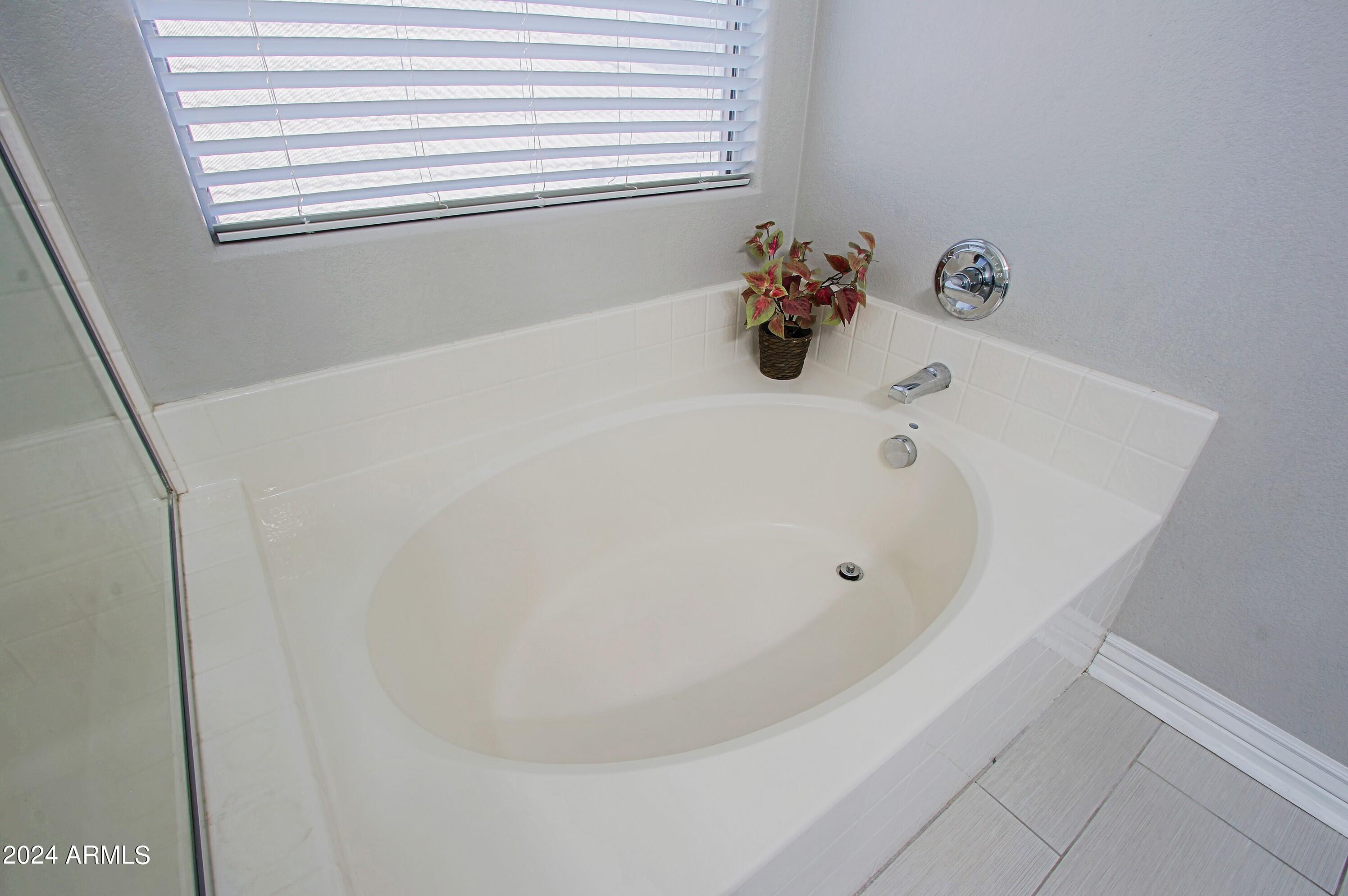 44208 Rhinestone Road Maricopa, AZ 85139 - Photo 40 of 63 Master Bath 5