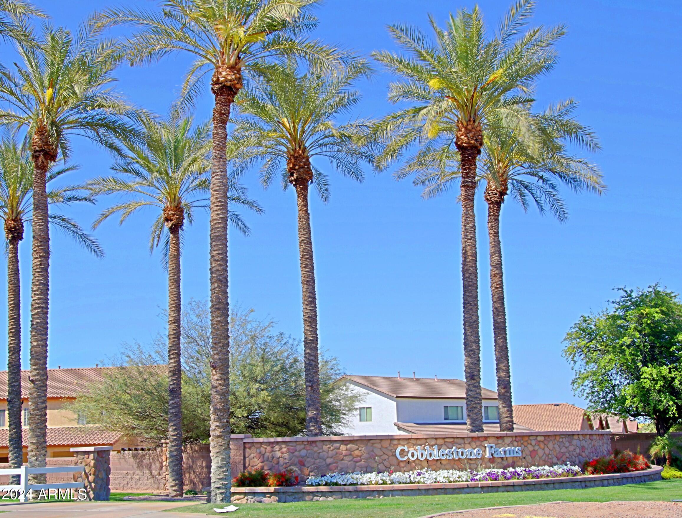 44208 Rhinestone Road Maricopa, AZ 85139 - Photo 5 of 63 Cobblestone Farms Community 1