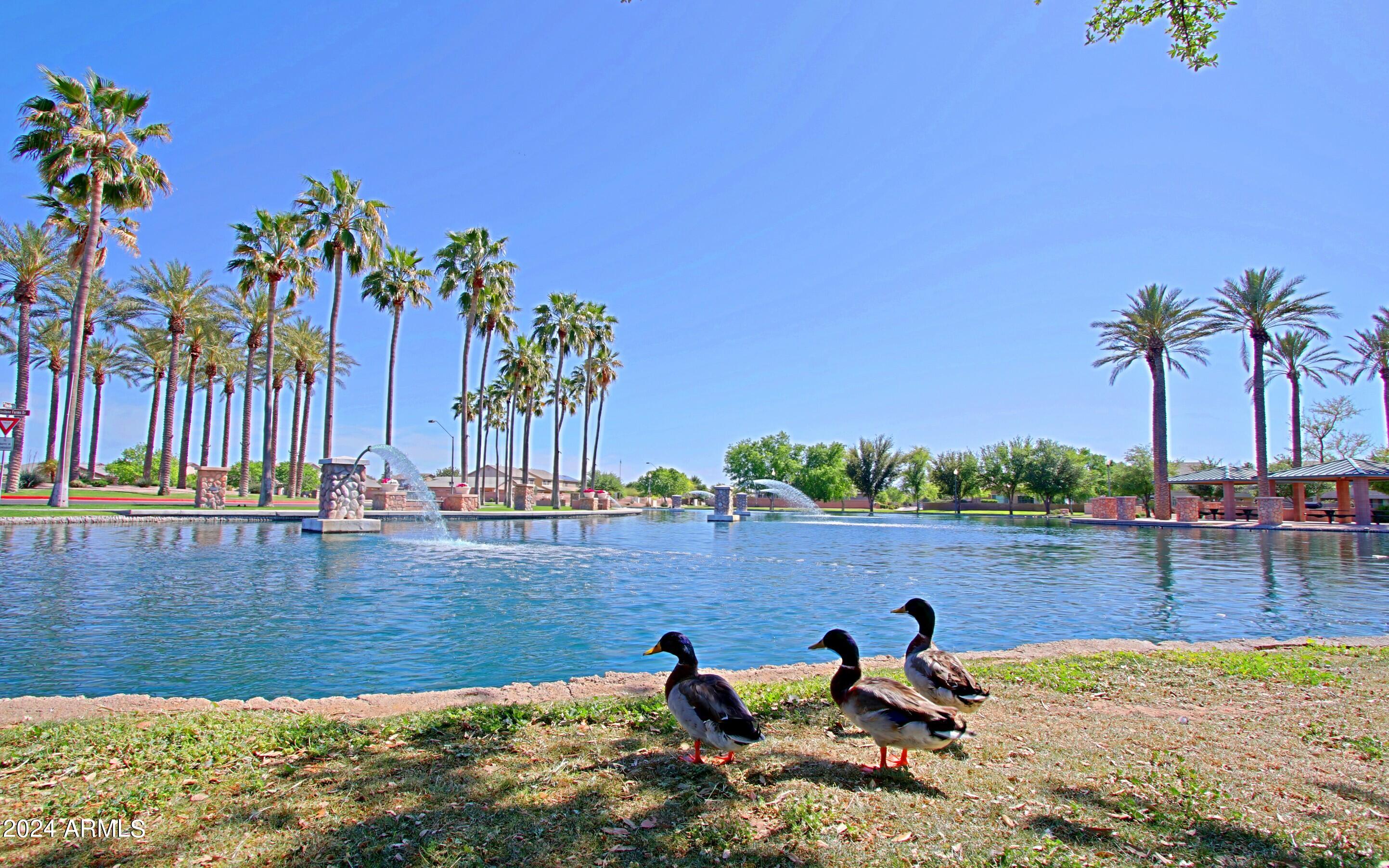 44208 Rhinestone Road Maricopa, AZ 85139 - Photo 57 of 63 Cobblestone Farms Community 11
