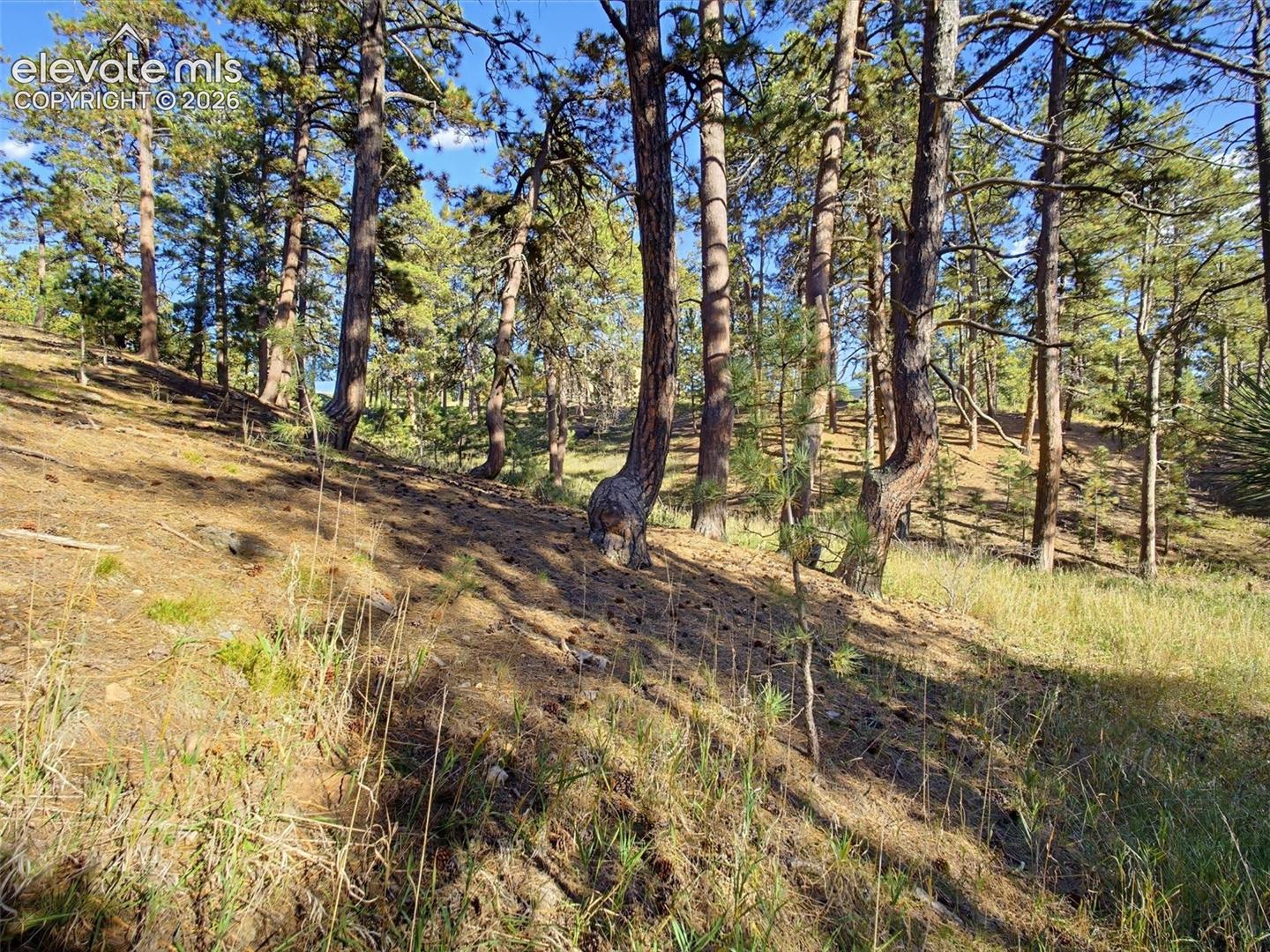 18065 Cumbres Road Peyton, CO 80831 - Photo 45 of 48 Historic Colorado "Bent Trees"