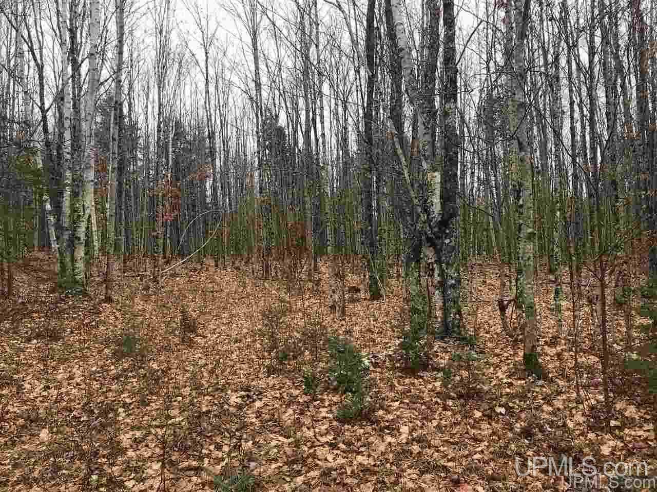 Tbd Off River Road, Unit 2 Hermansville, MI 49847 - Photo 14 of 34
