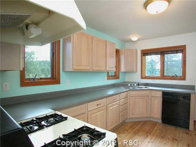 364 Stage Coach Road Guffey, CO 80820 - Photo 4 of 16 Gallery Image 4