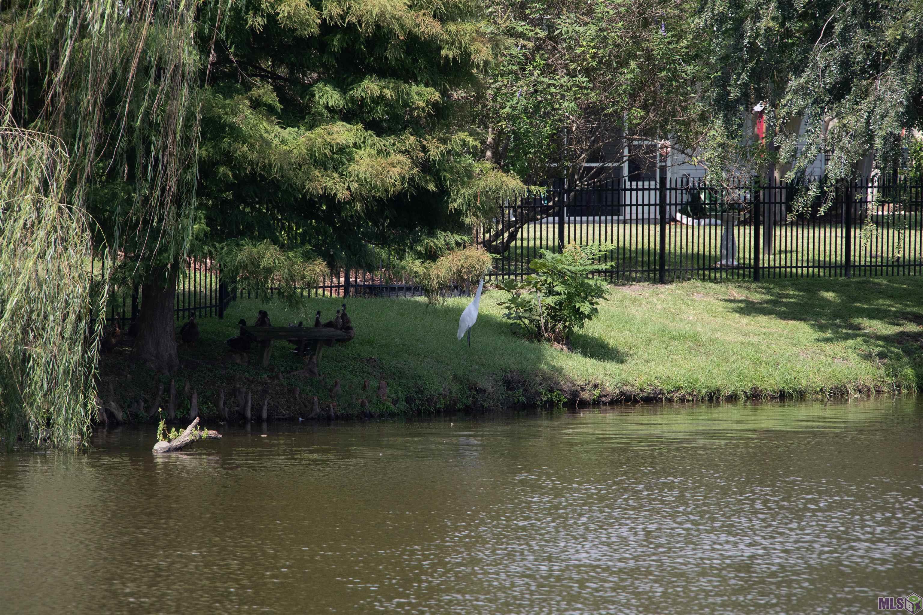 1335 Springlake Drive Baton Rouge, LA 70810 - Photo 26 of 26