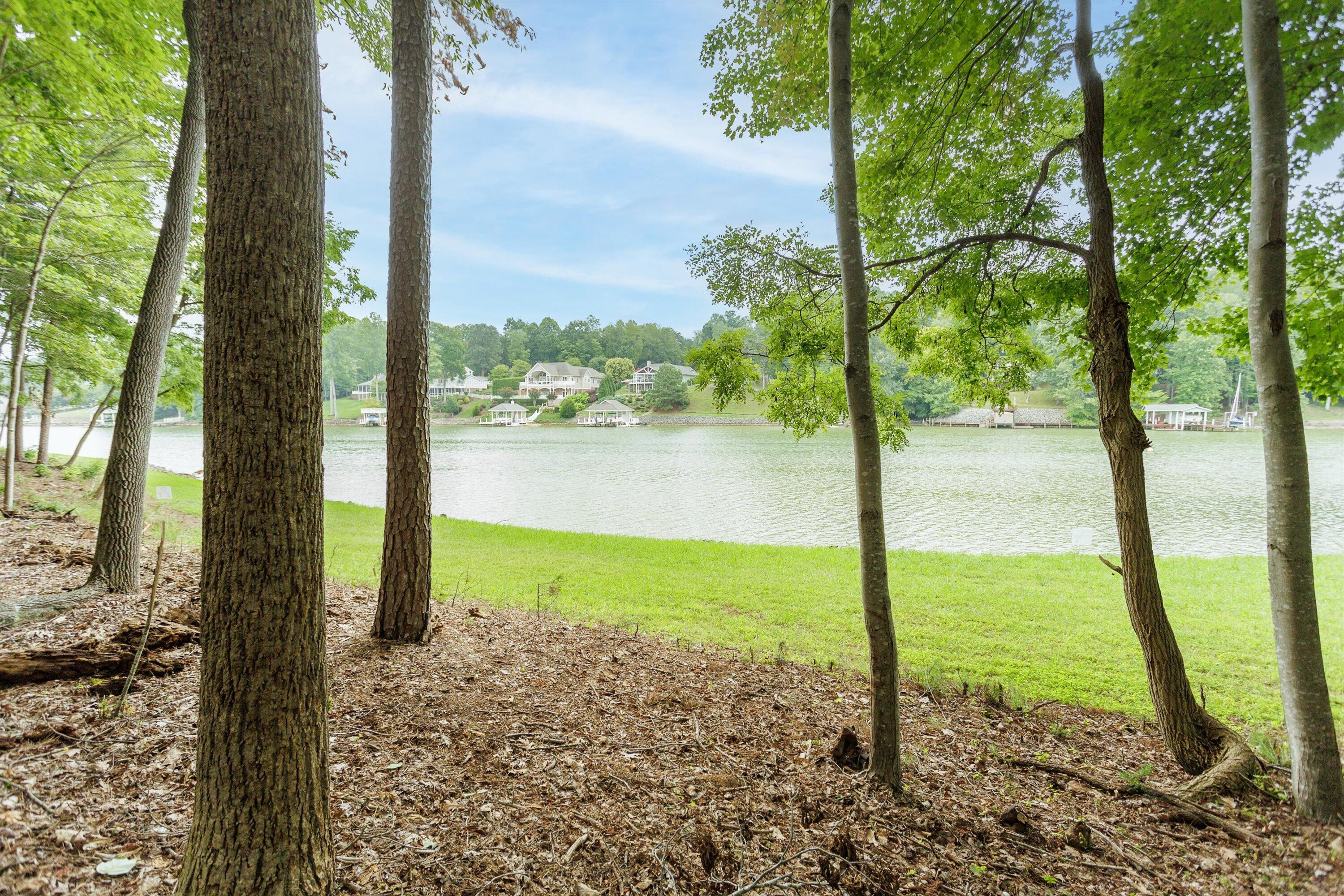 0 Country Oak Road Penhook, VA 24137 - Photo 3 of 40 29-Country Manor Ln Lot 6_29