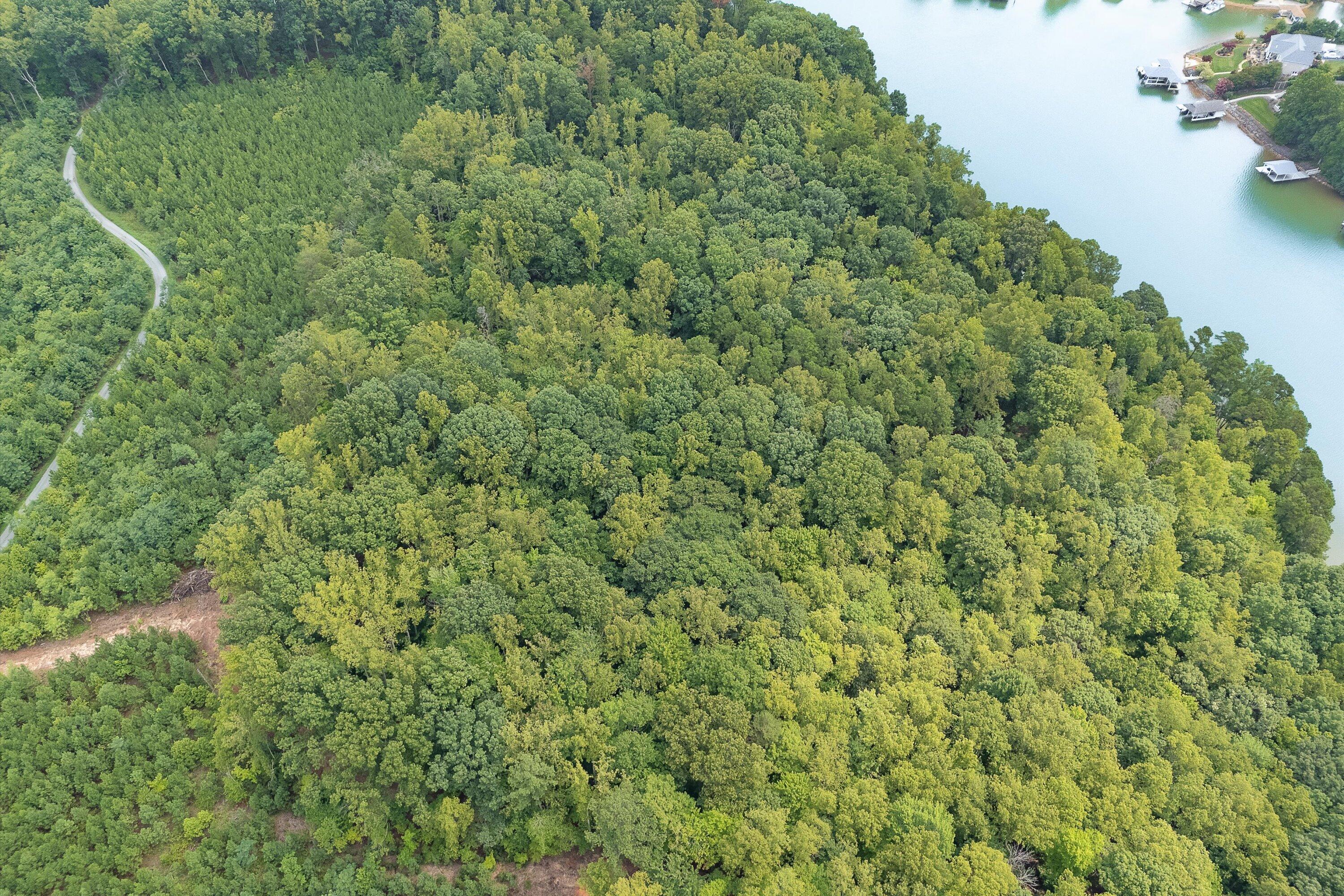 0 Country Oak Road Penhook, VA 24137 - Photo 32 of 40 17-Country Manor Ln Lot 6_17