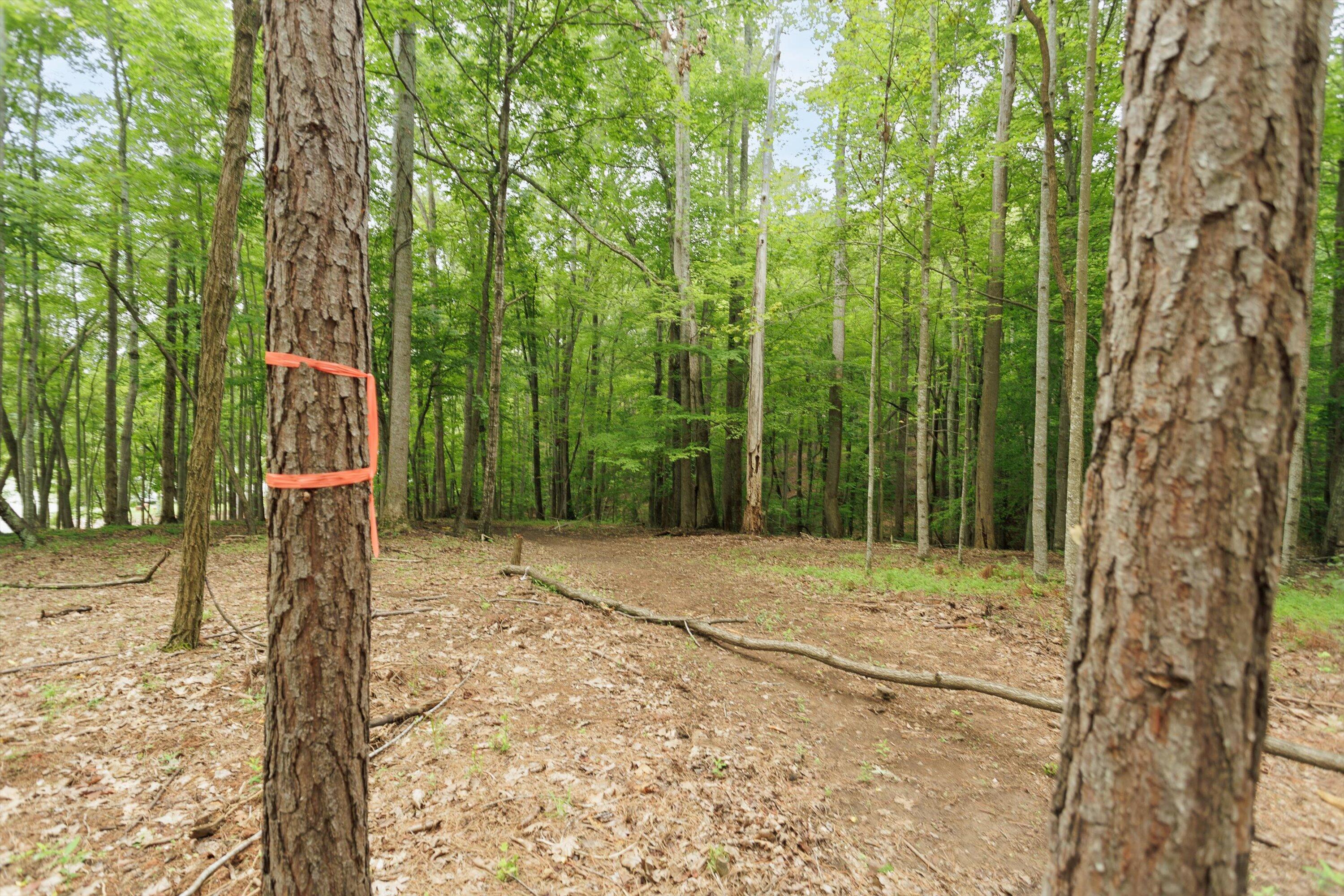 0 Country Oak Road Penhook, VA 24137 - Photo 34 of 40 19-Country Manor Ln Lot 6_19