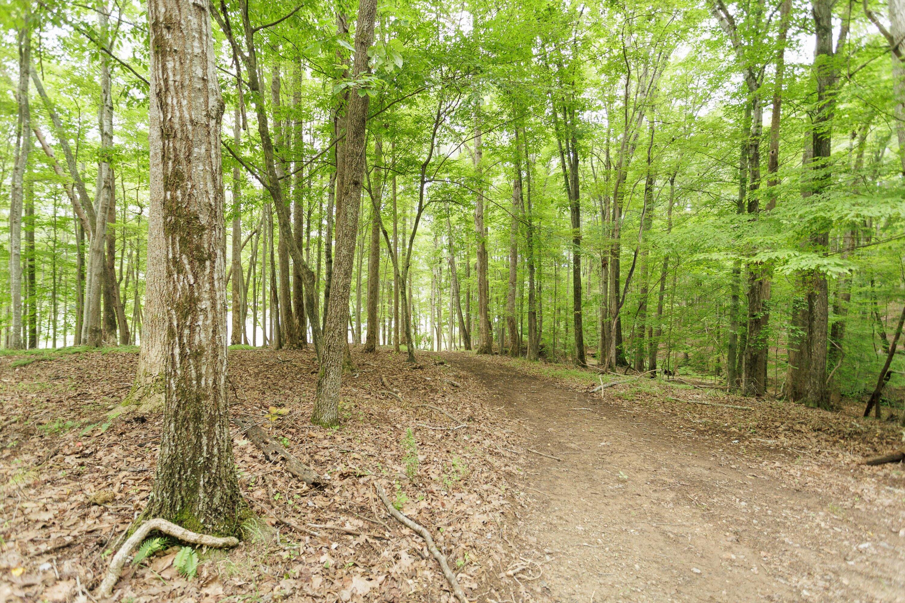 0 Country Oak Road Penhook, VA 24137 - Photo 35 of 40 20-Country Manor Ln Lot 6_20