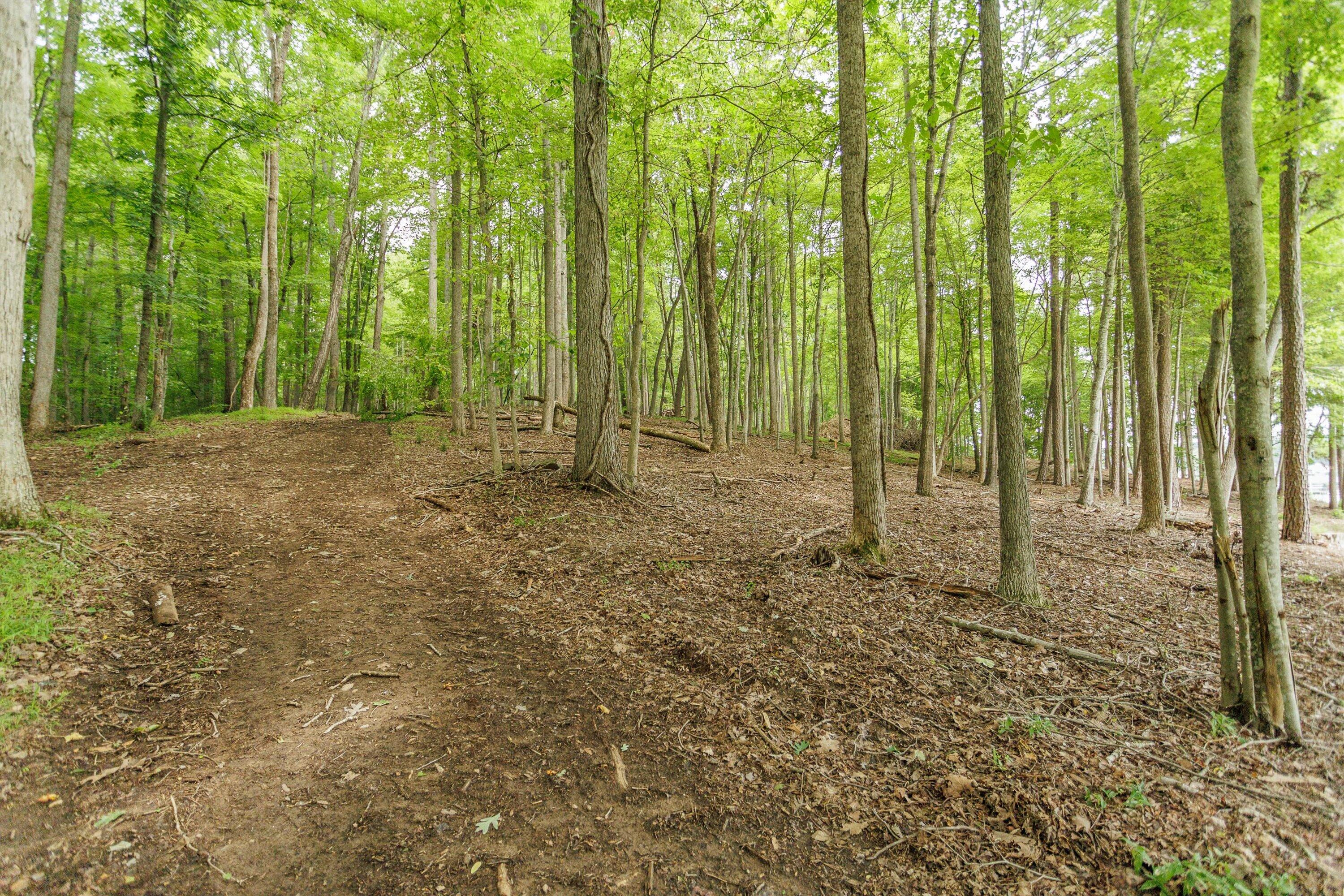 0 Country Oak Road Penhook, VA 24137 - Photo 36 of 40 30-Country Manor Ln Lot 6_30