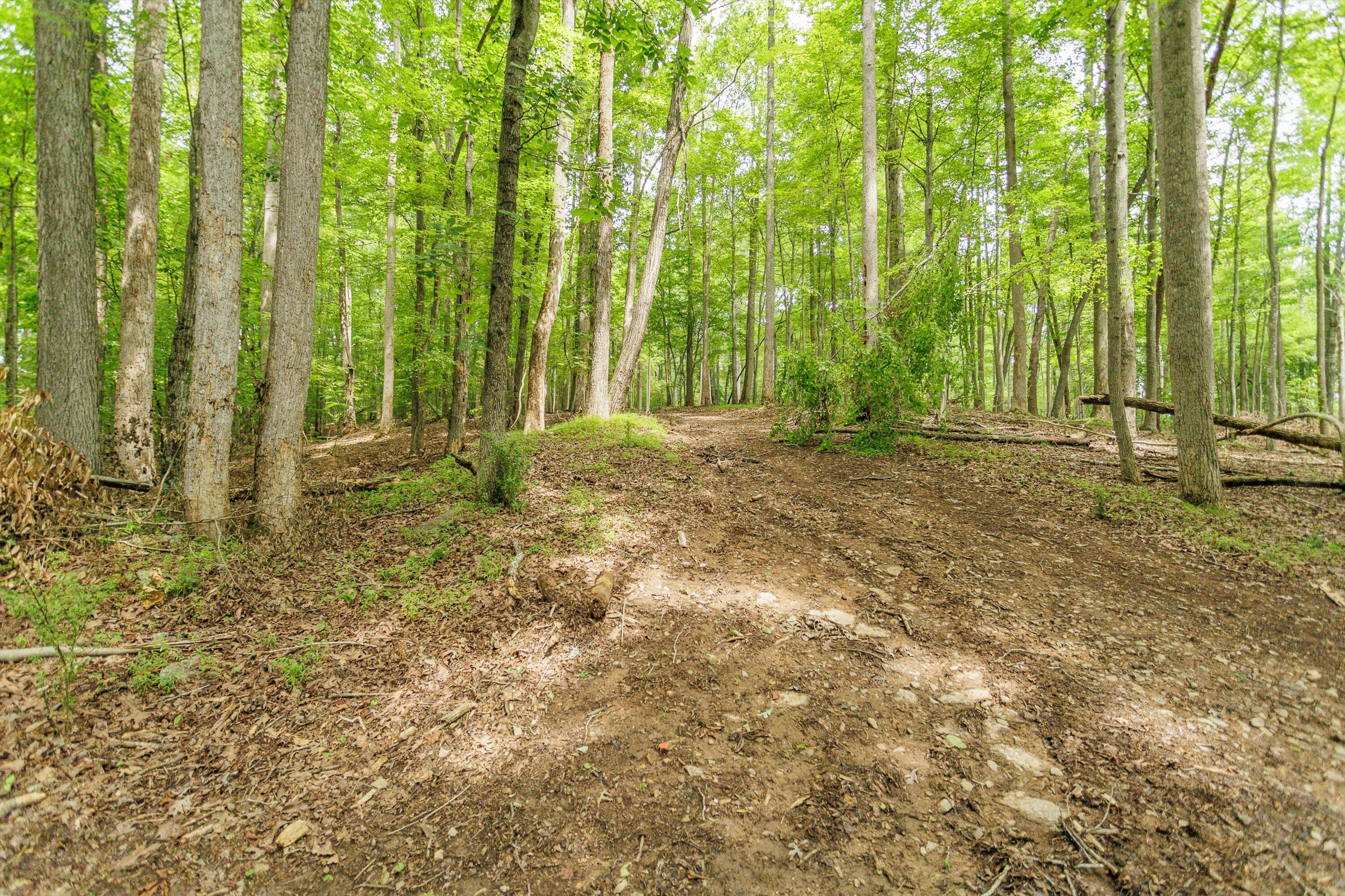 0 Country Oak Road Penhook, VA 24137 - Photo 37 of 40 31-Country Manor Ln Lot 6_31