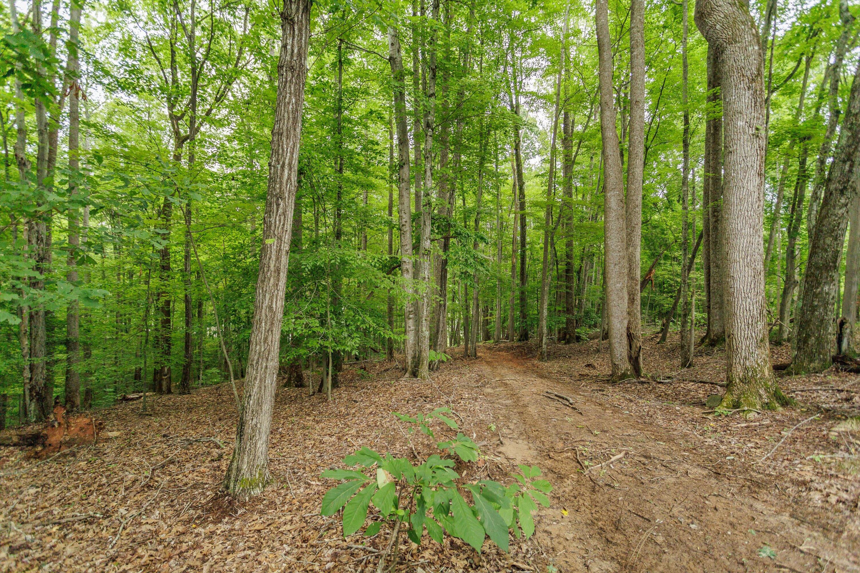 0 Country Oak Road Penhook, VA 24137 - Photo 38 of 40 32-Country Manor Ln Lot 6_32