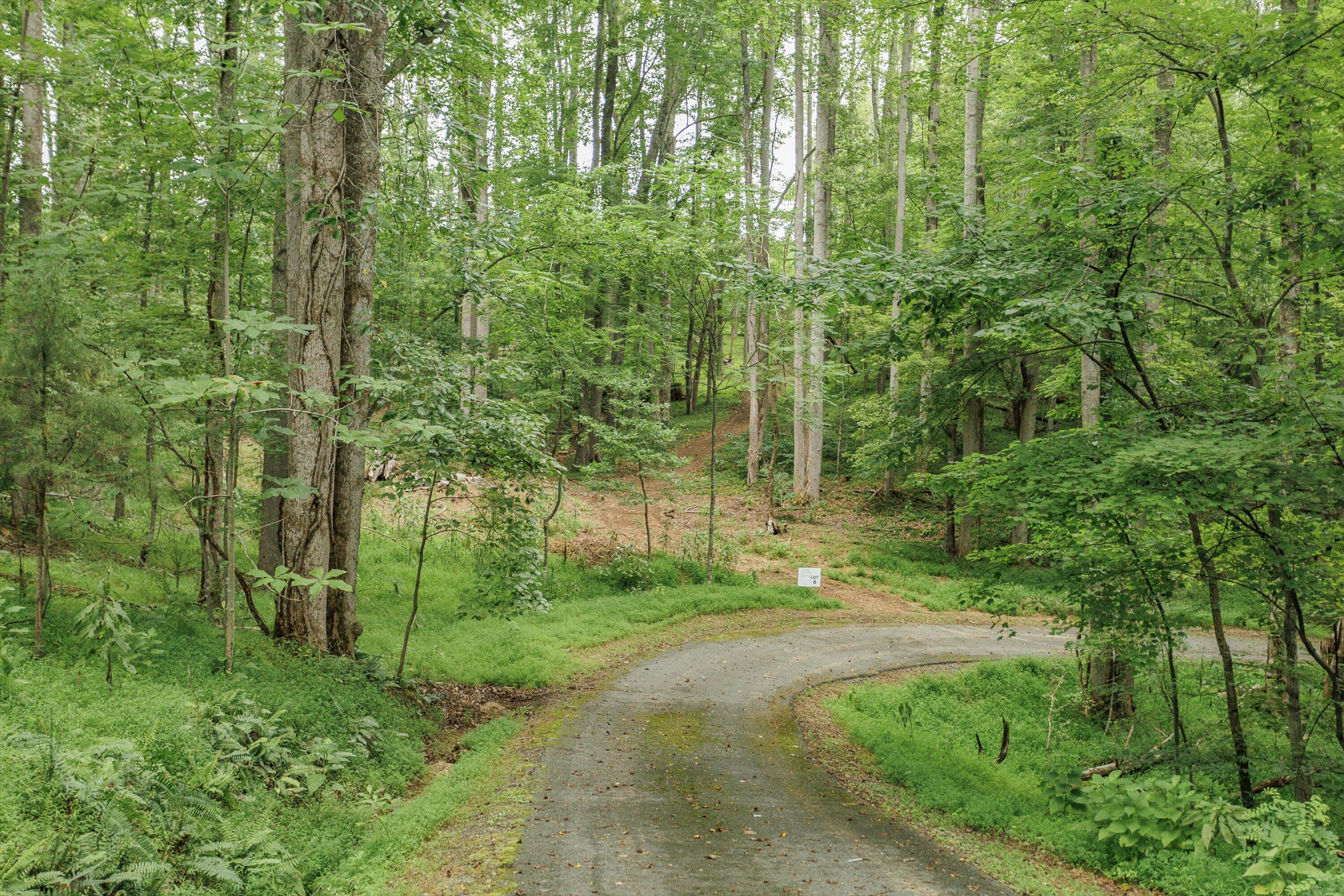 0 Country Oak Road Penhook, VA 24137 - Photo 40 of 40 34-Country Manor Ln Lot 6_34