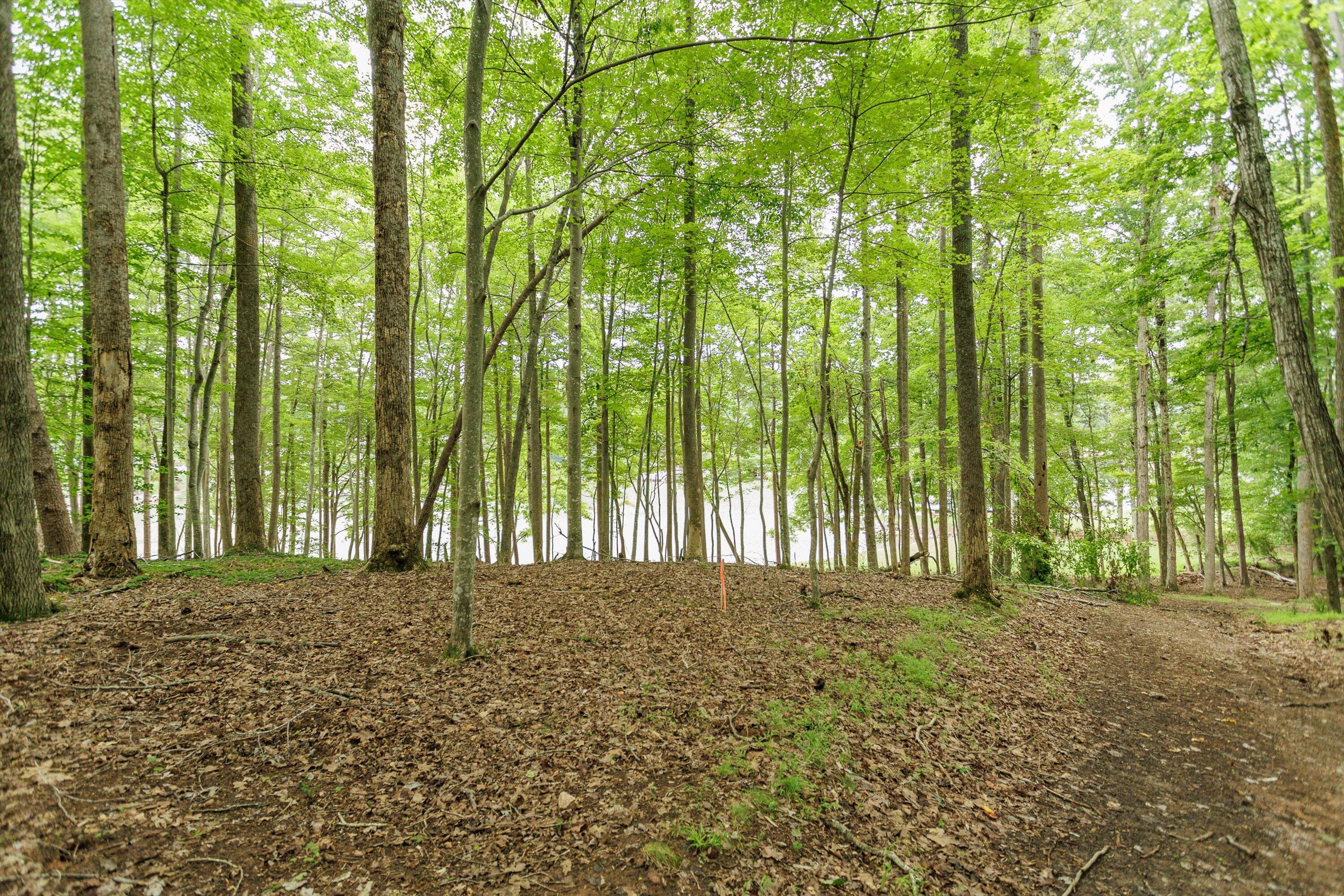 0 Country Oak Road Penhook, VA 24137 - Photo 5 of 40 21-Country Manor Ln Lot 6_21