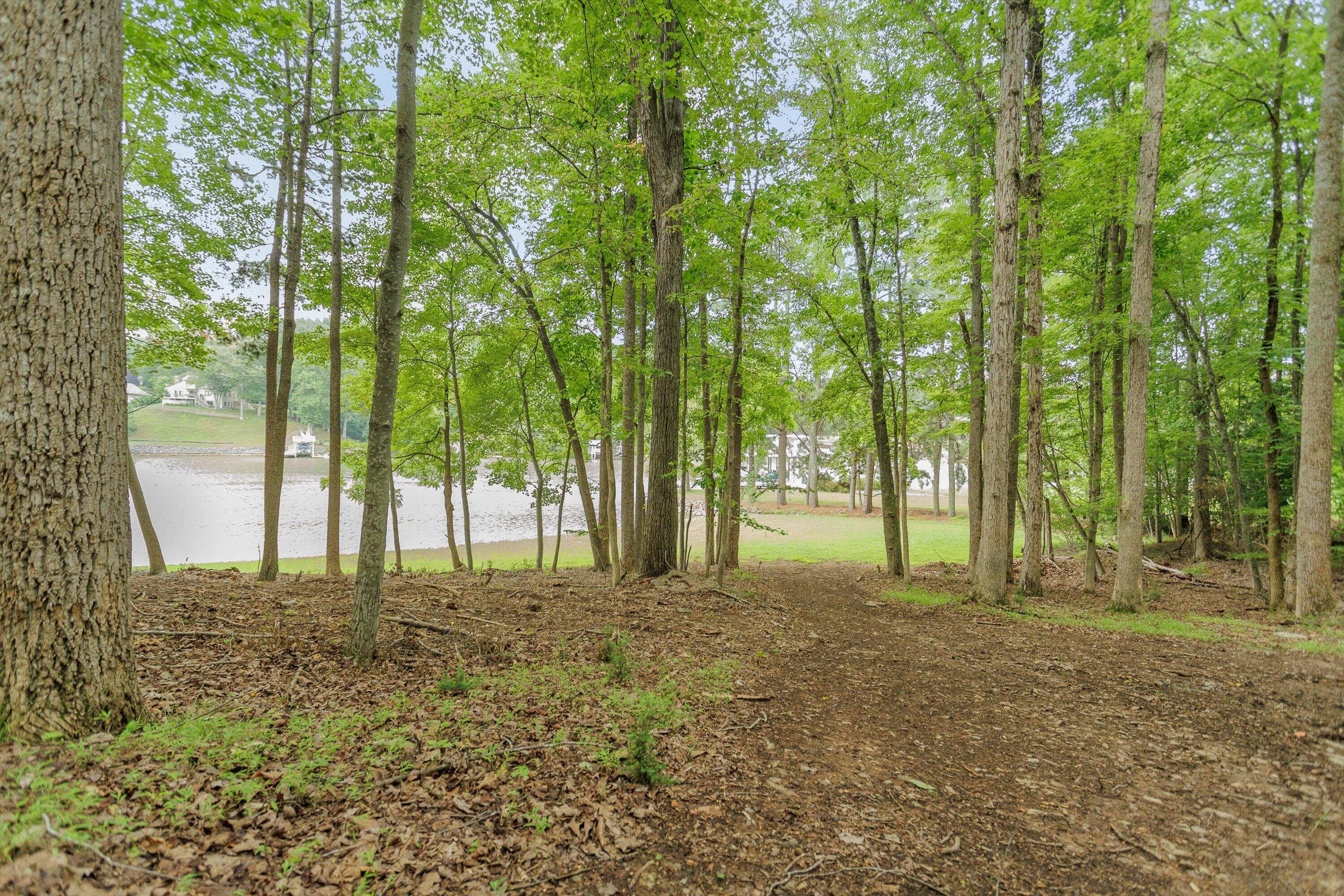 0 Country Oak Road Penhook, VA 24137 - Photo 6 of 40 22-Country Manor Ln Lot 6_22