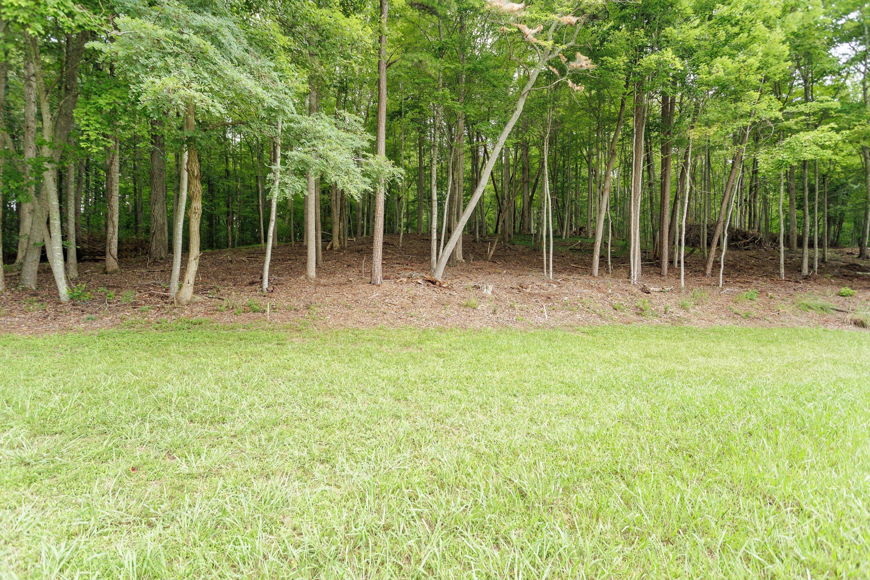 0 Country Oak Road Penhook, VA 24137 - Photo 8 of 40 28-Country Manor Ln Lot 6_28